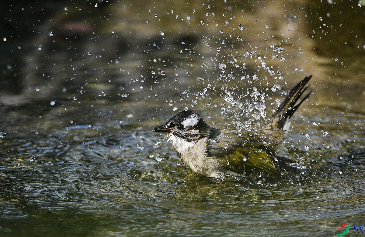 DSC_3040.JPG