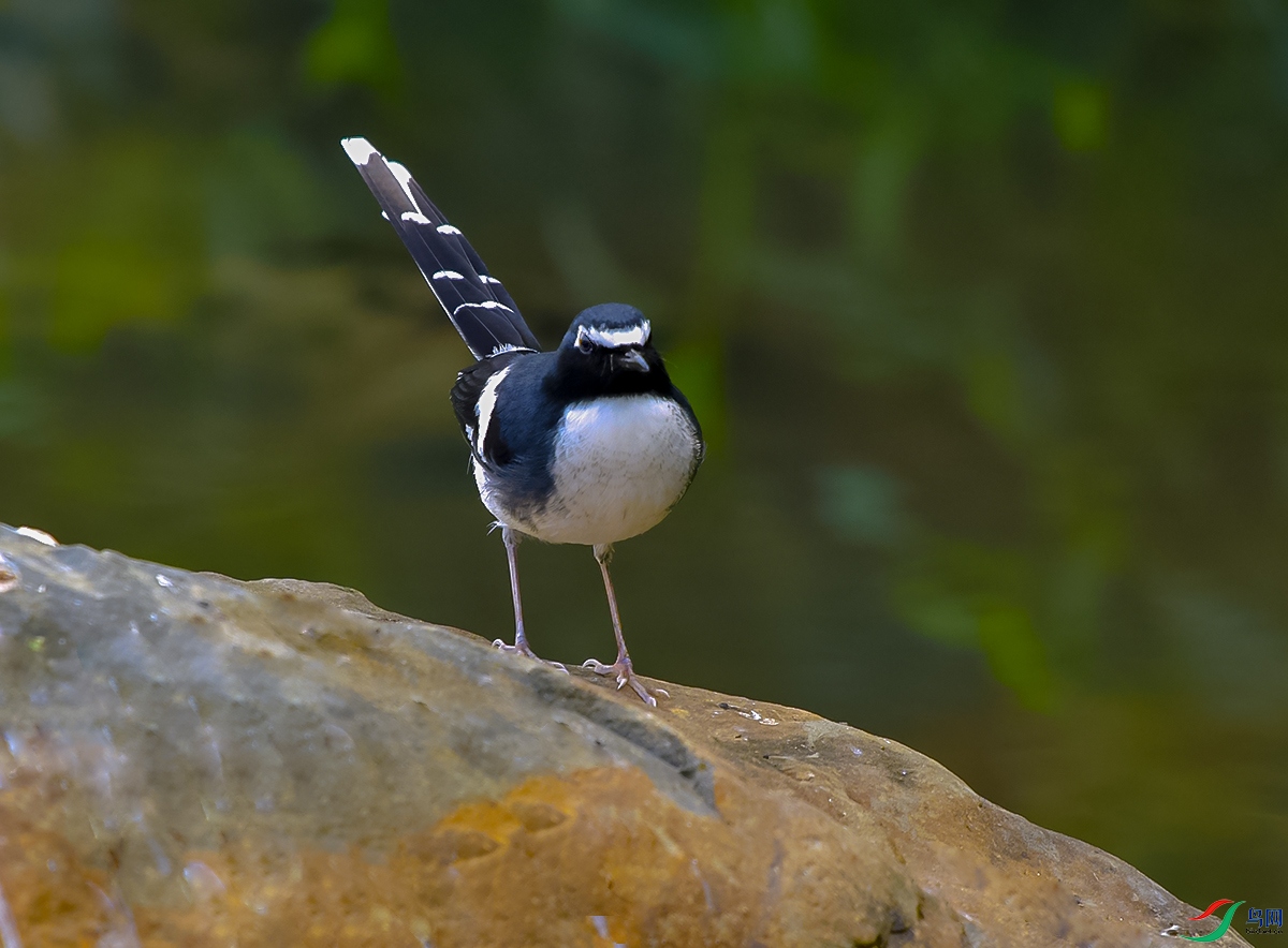 DSC_0360.JPG