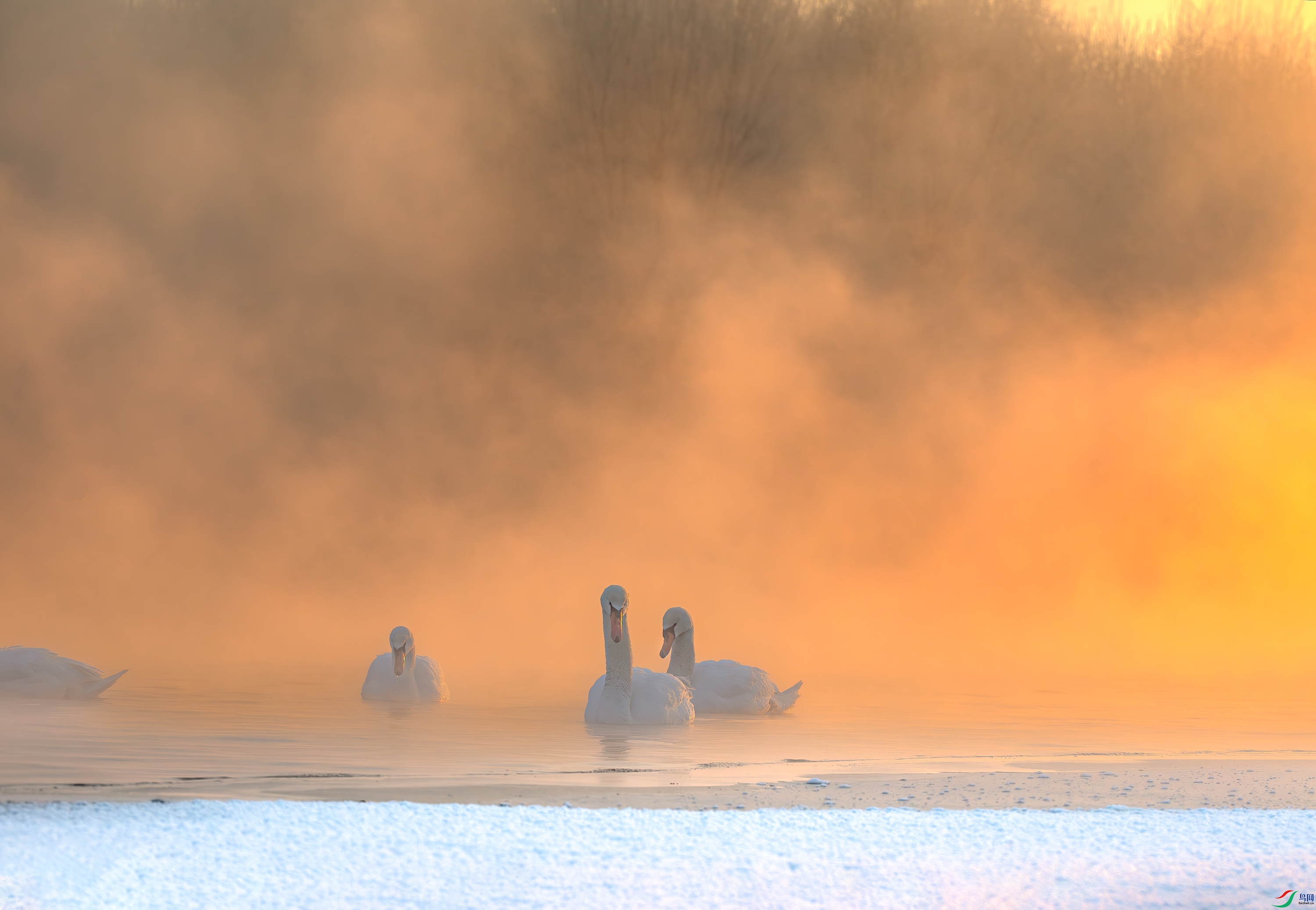 3S5A4133-����ǿ-NR ����.jpg