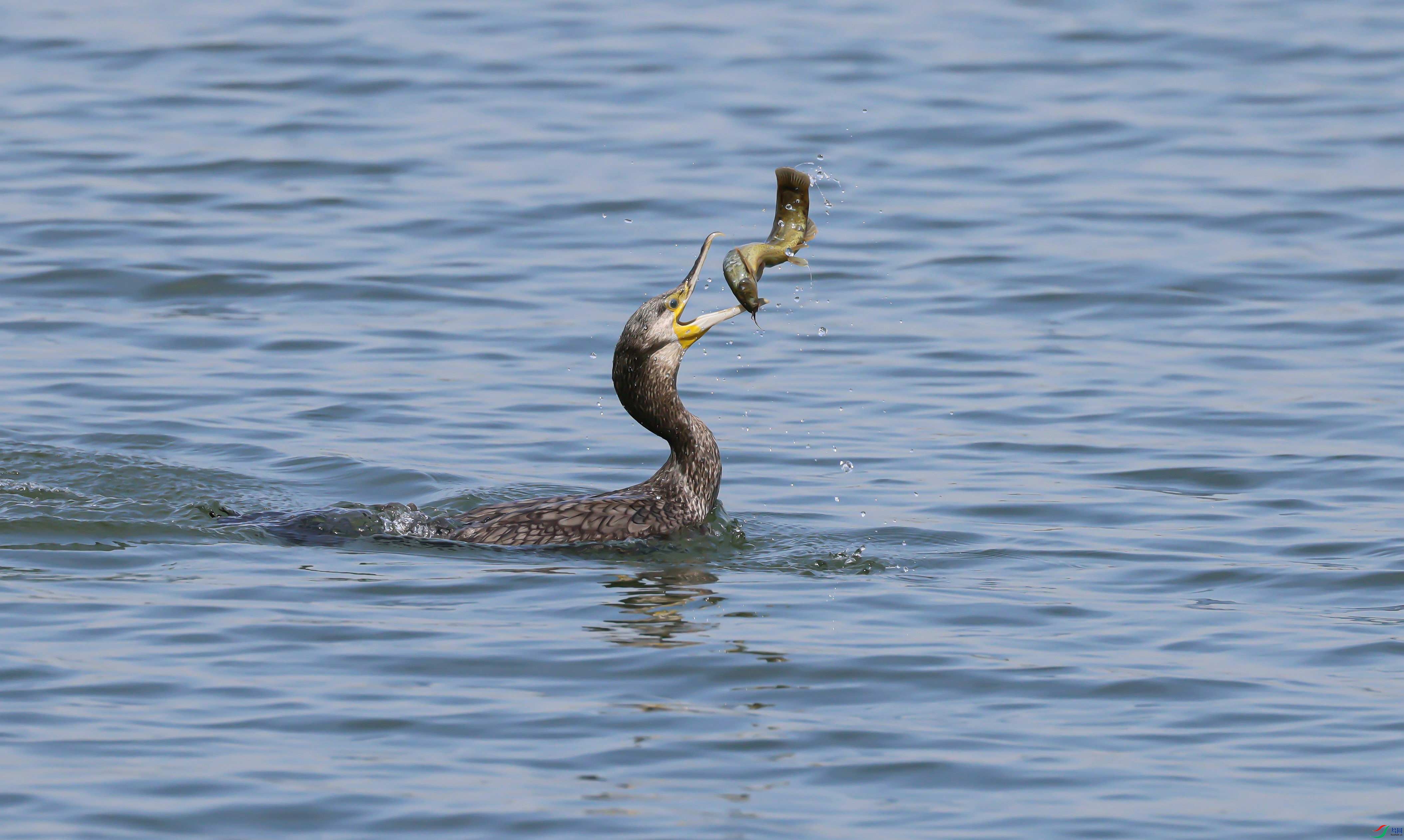 490A3751 _����1.jpg