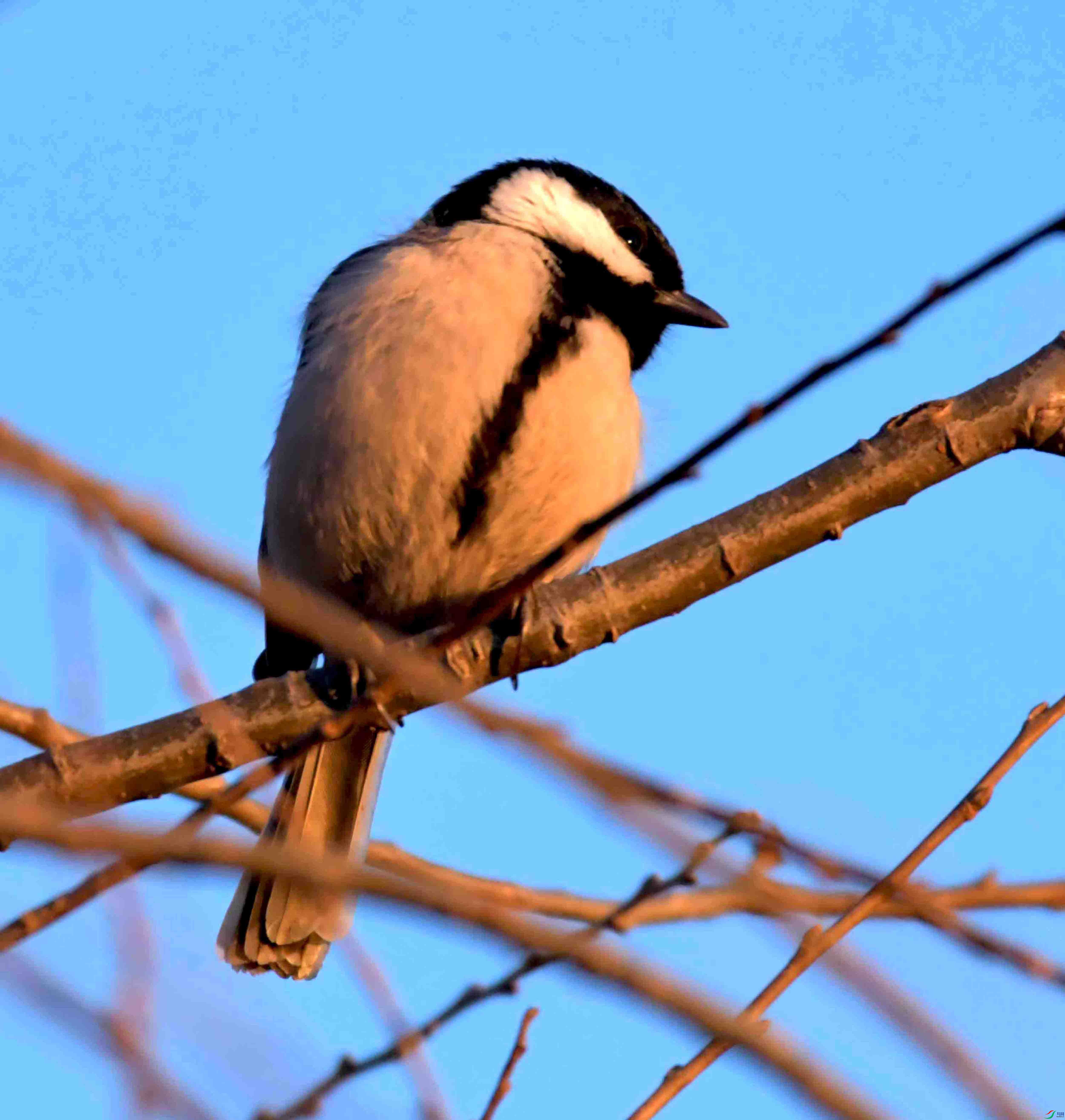 DSC_2564.JPG