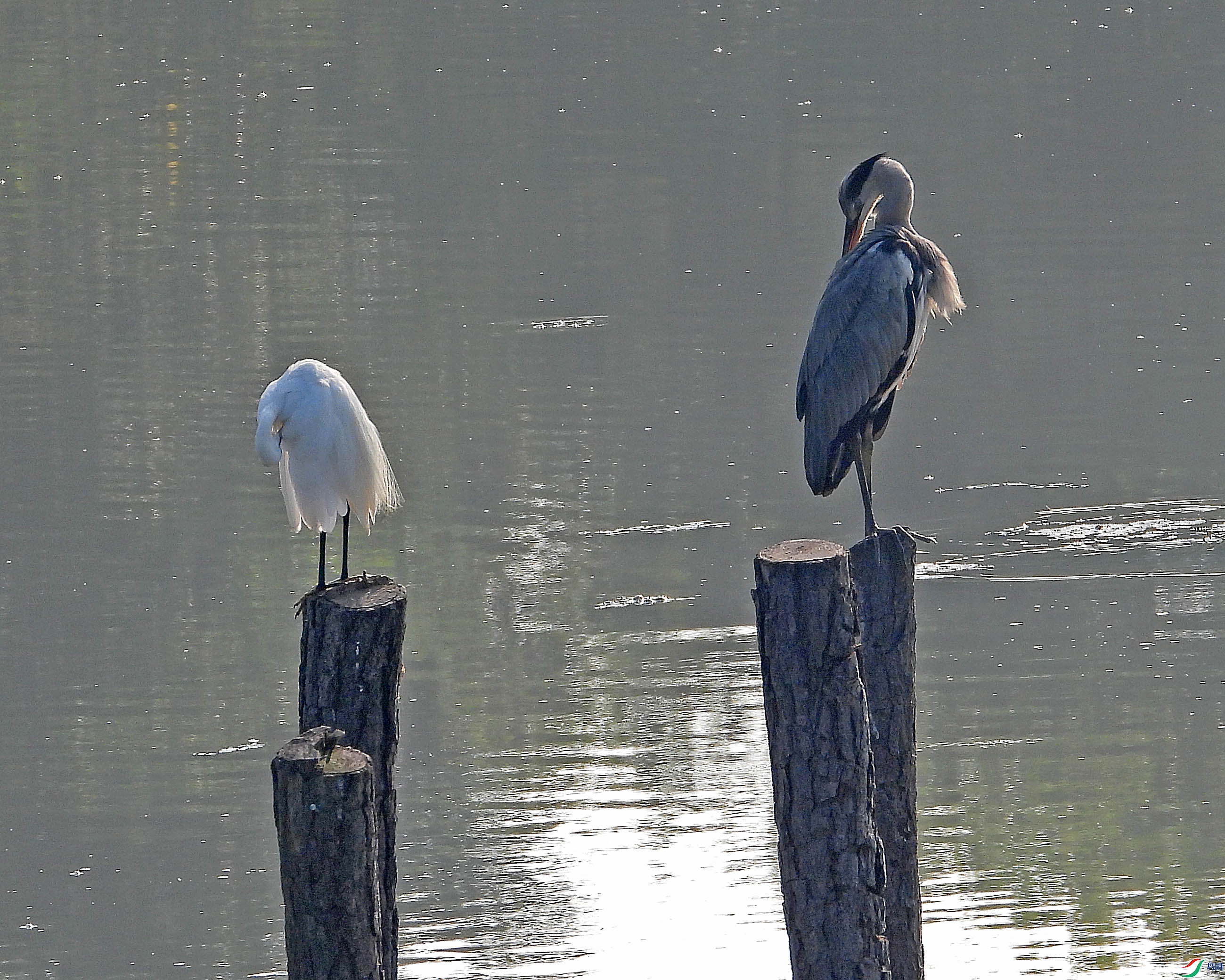 DSCN8670.JPG
