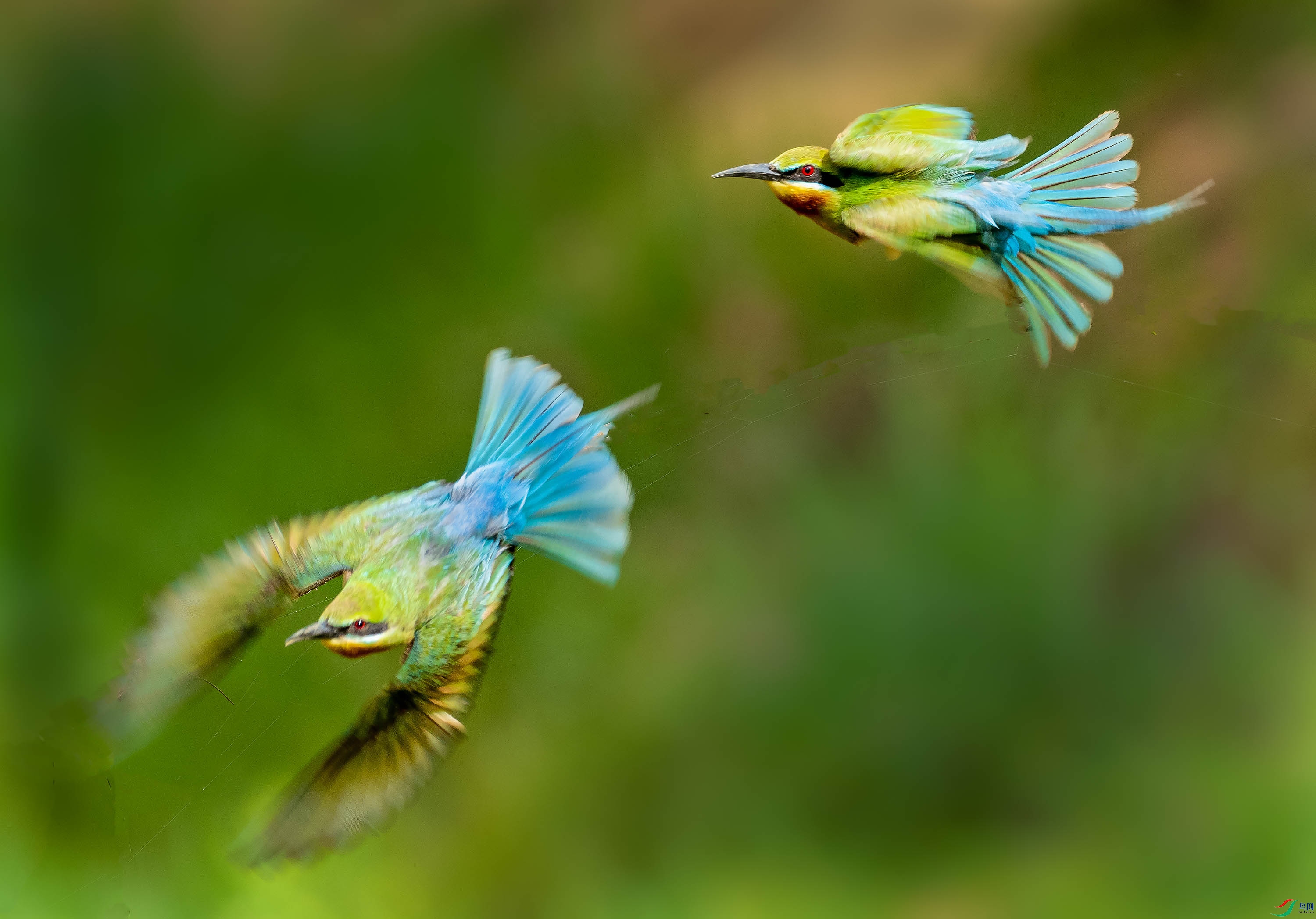 P5200022 --�ɱ�����.jpg