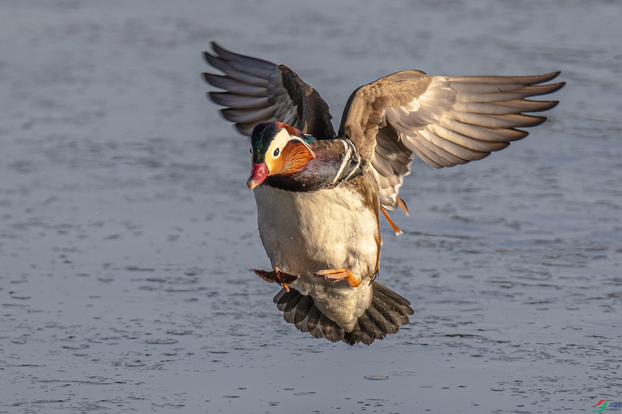 _90I0334 ����.jpg