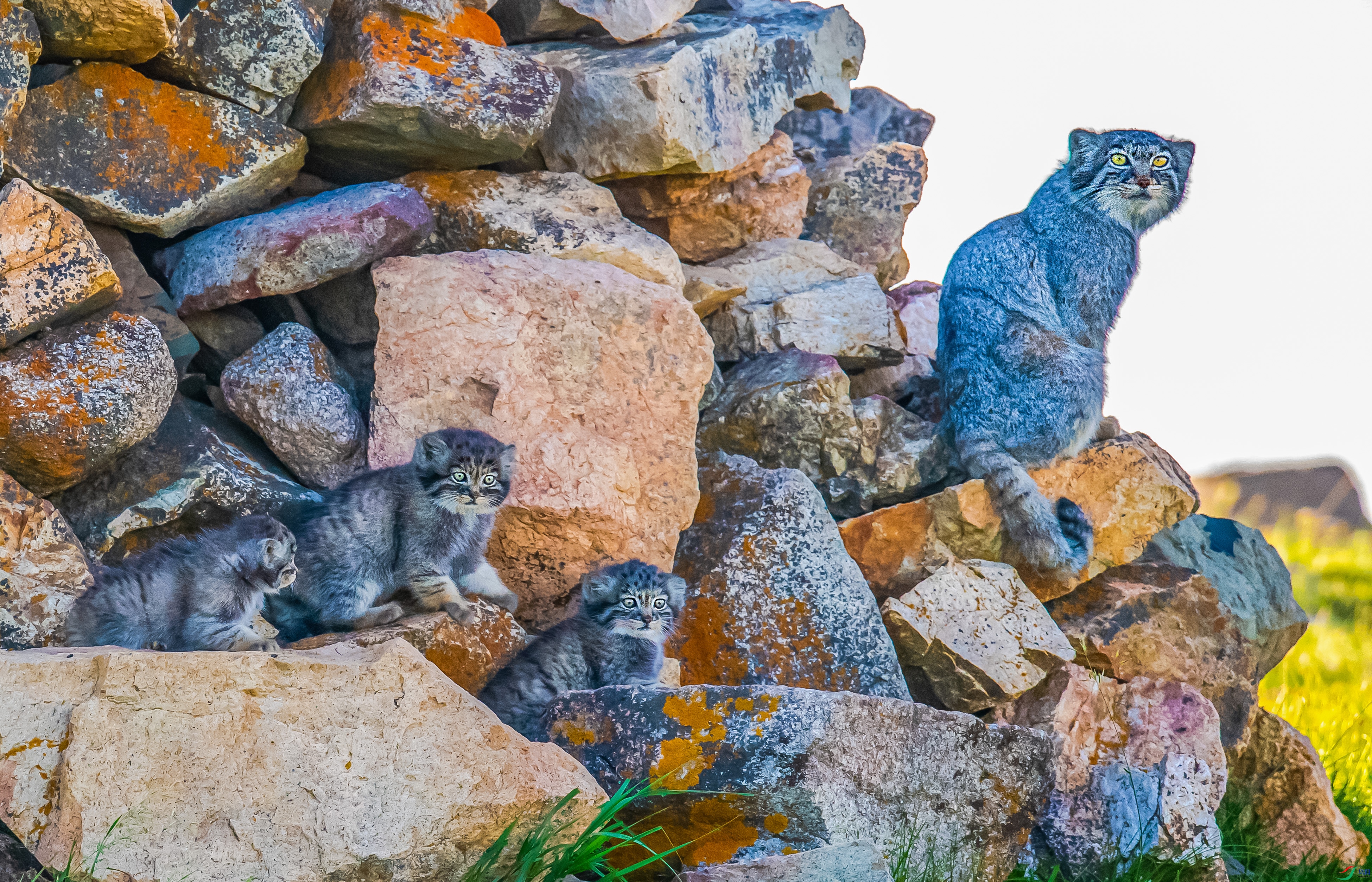 DSC_5609-1_1.jpg