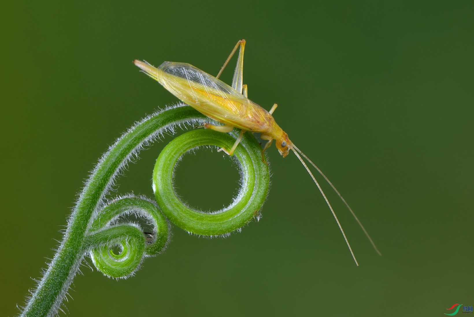 DSC_6068 ����..JPG