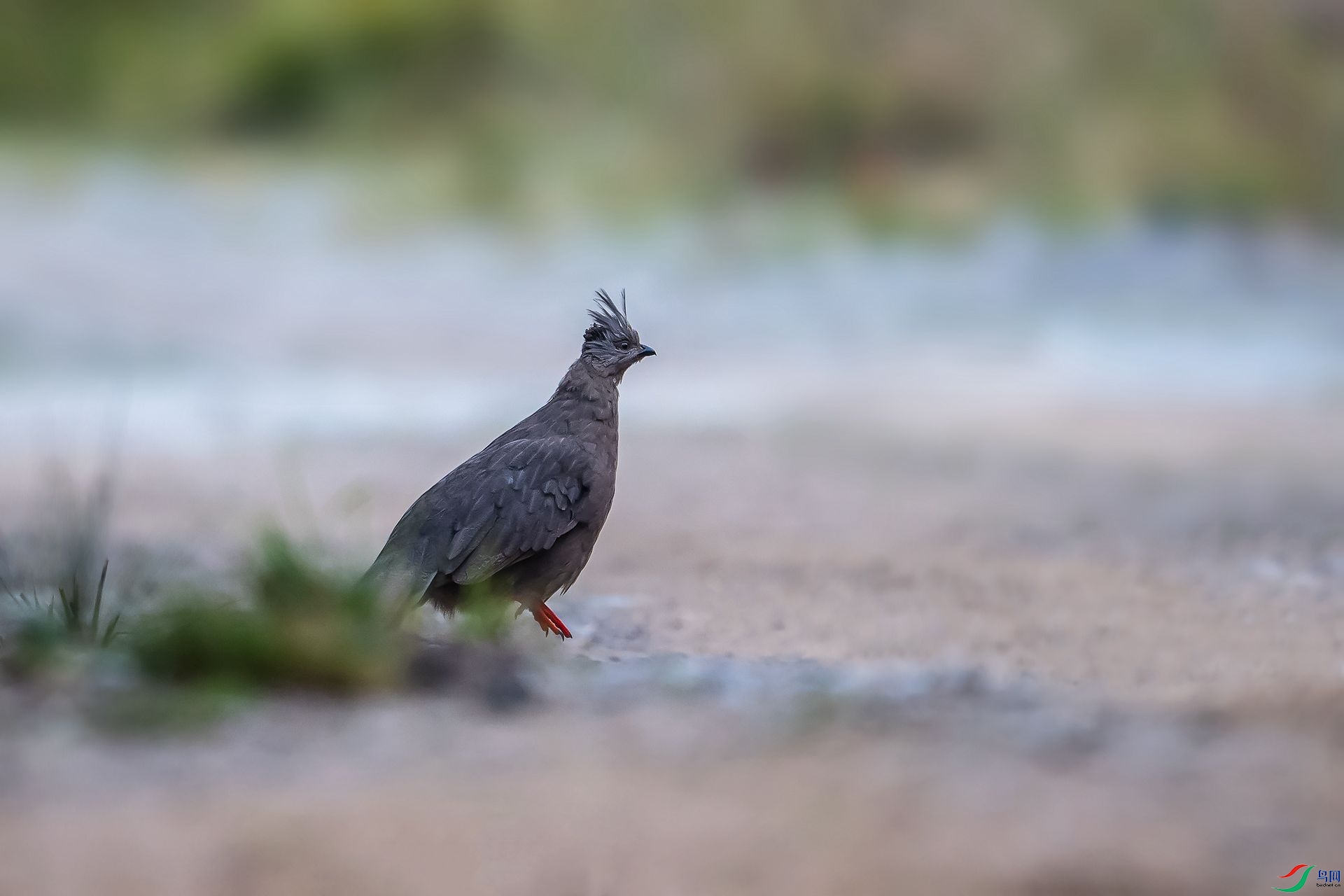 DSC_3352.jpg