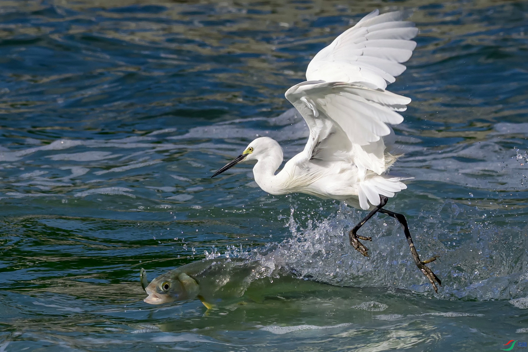 #SC_1758 ����F01-ORI.jpg