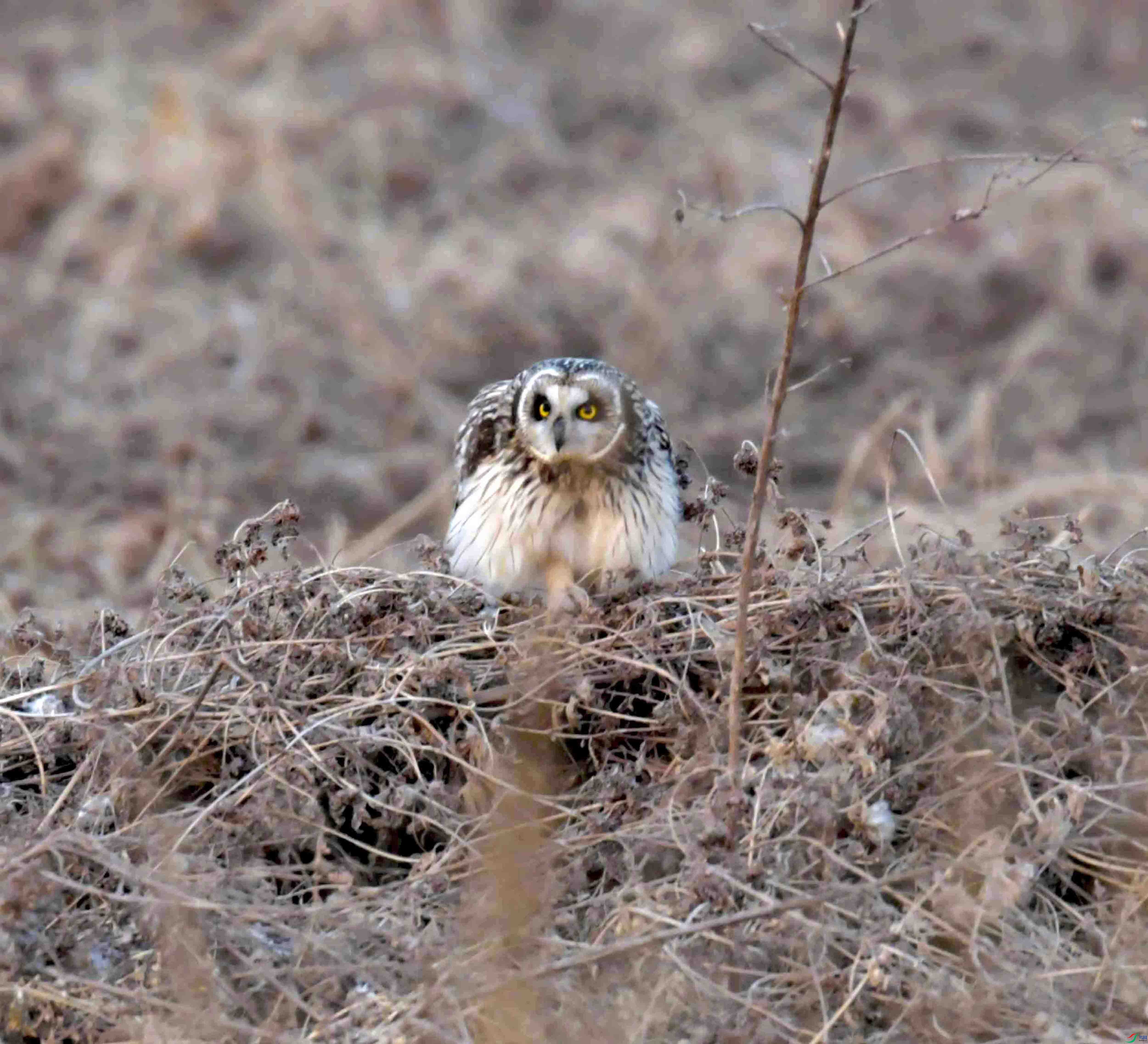 DSC_1056.JPG