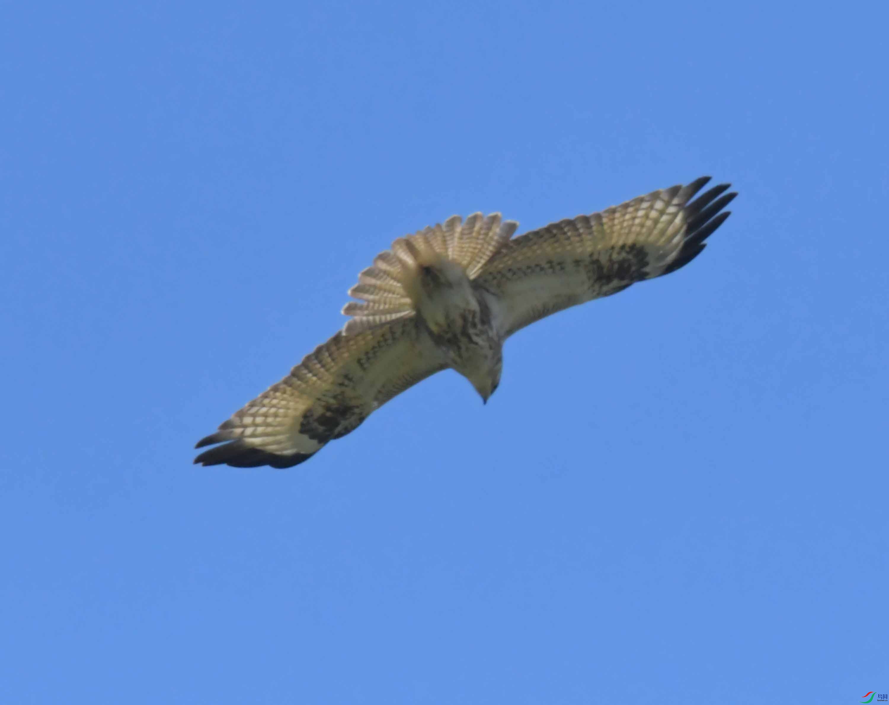 DSC_9817.JPG