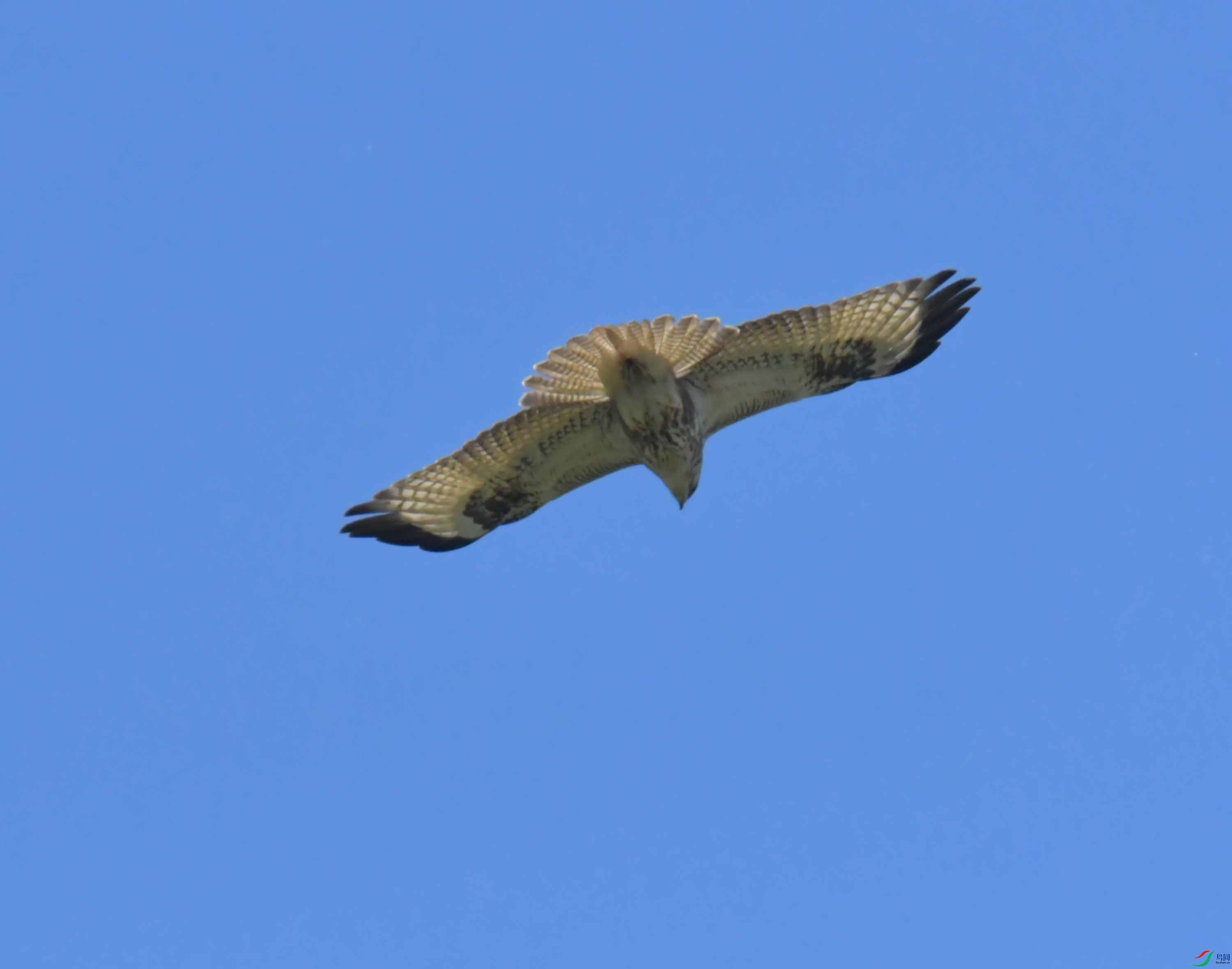 DSC_9818.JPG