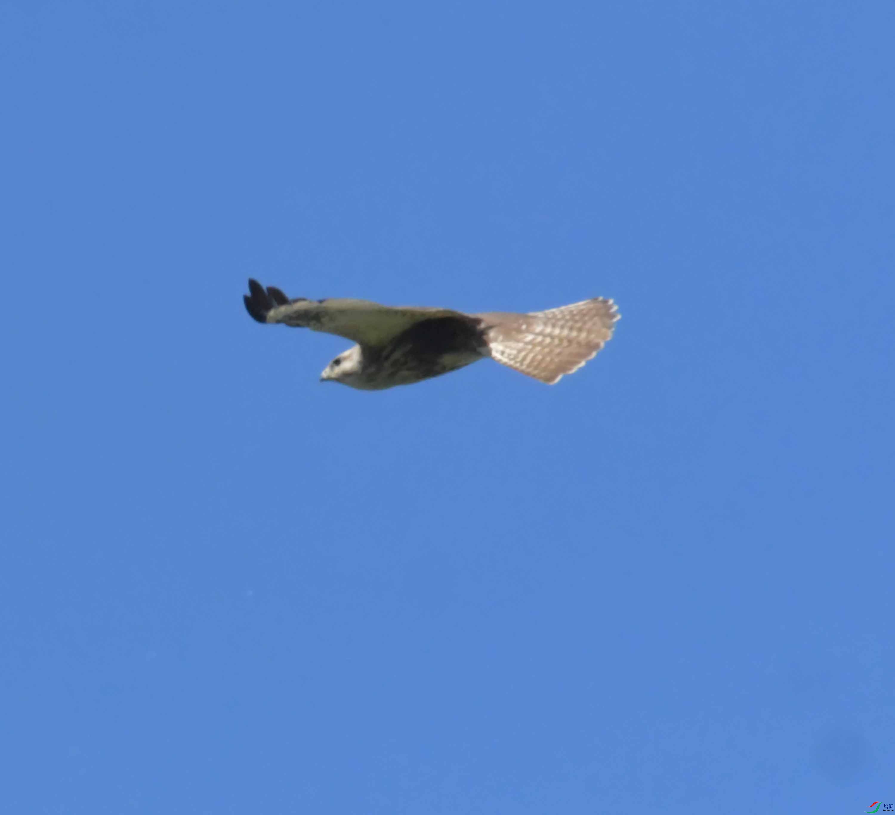 DSC_9823.JPG