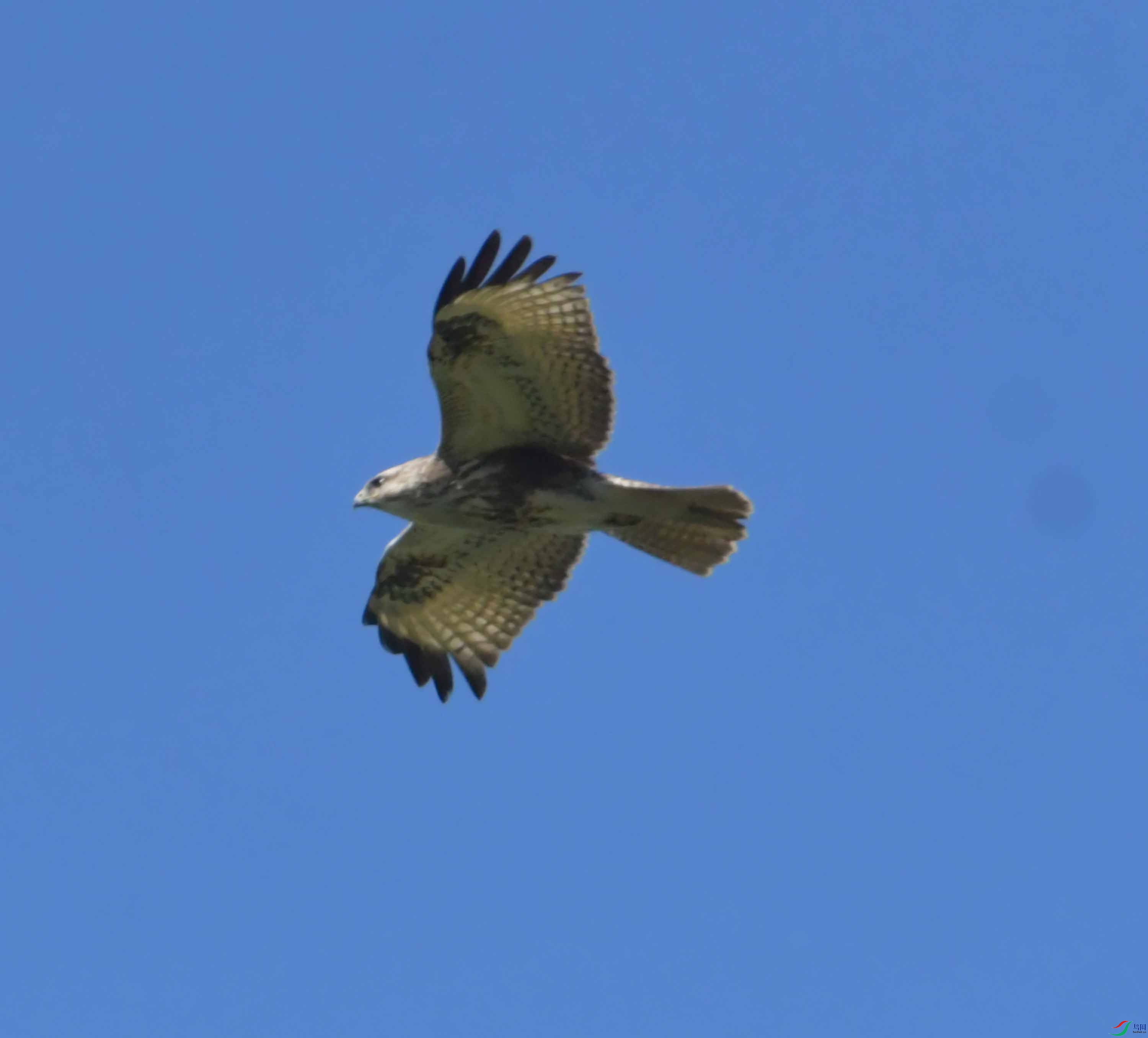 DSC_9824.JPG