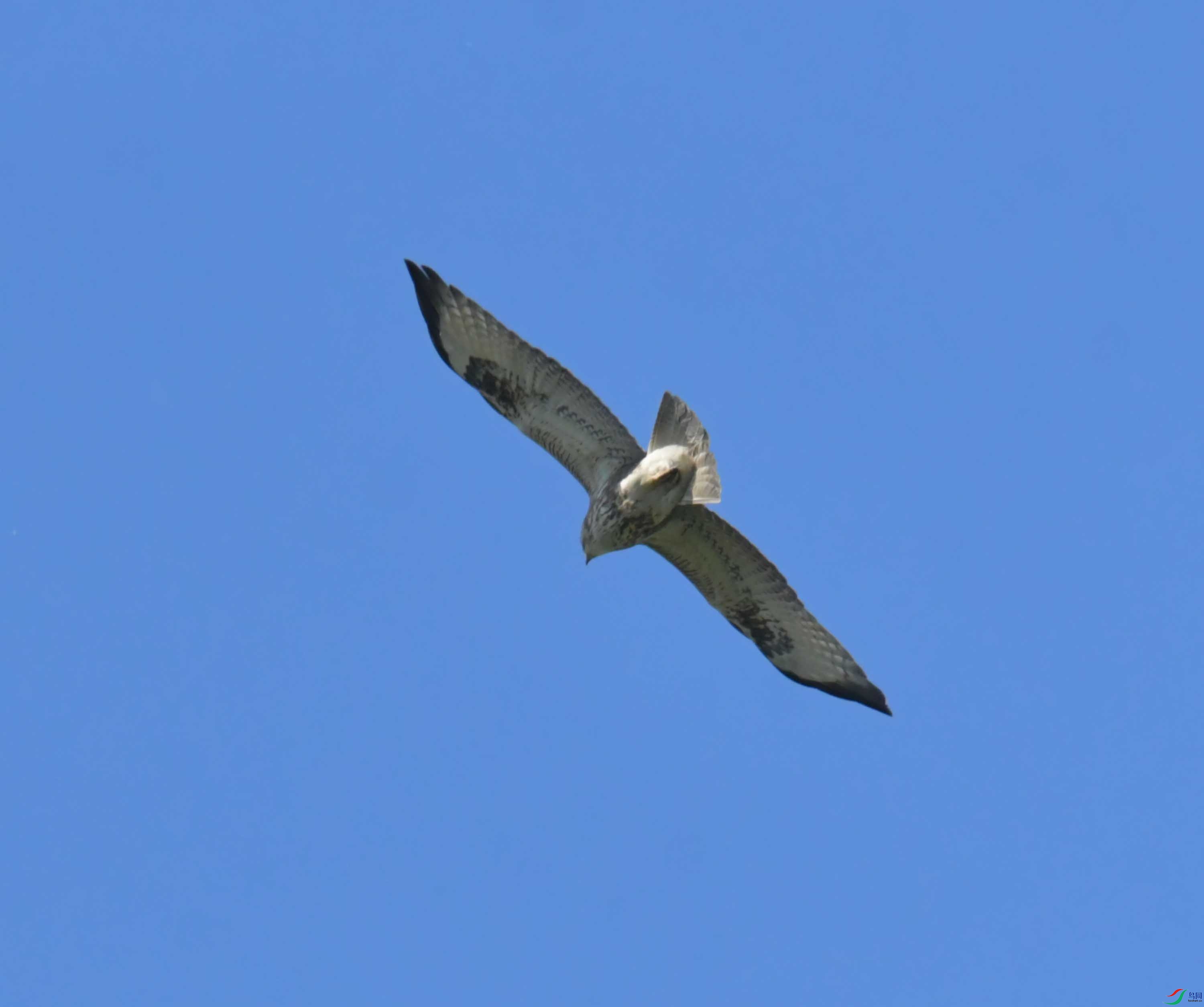 DSC_9829.JPG