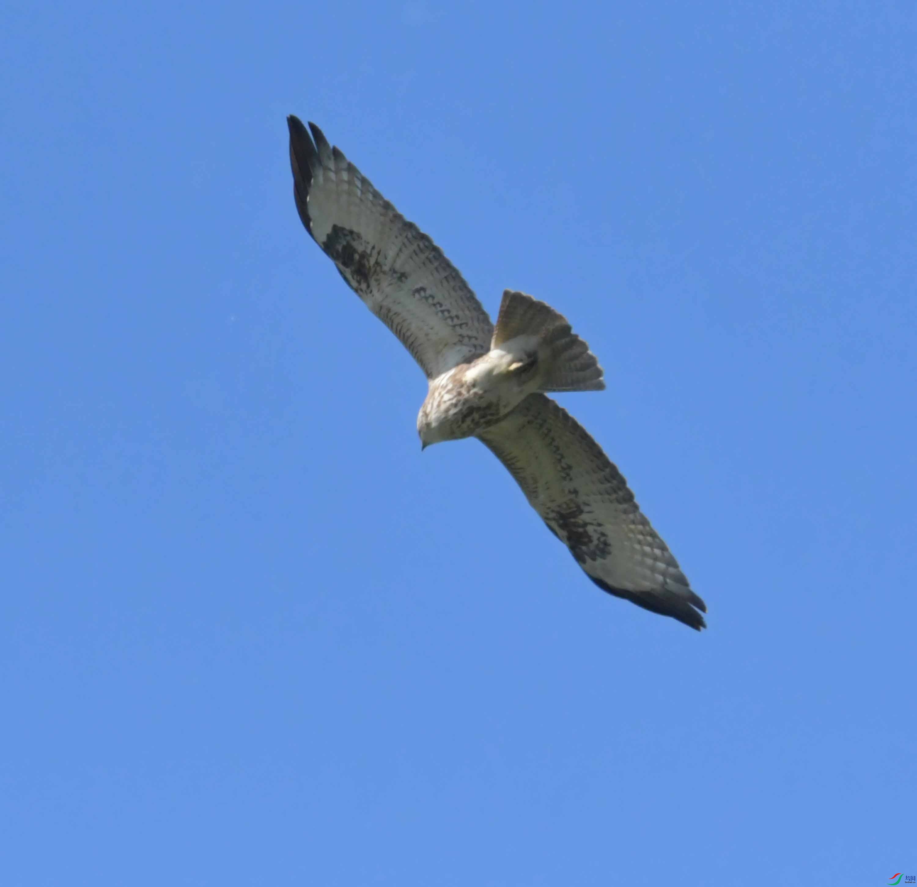 DSC_9827.JPG