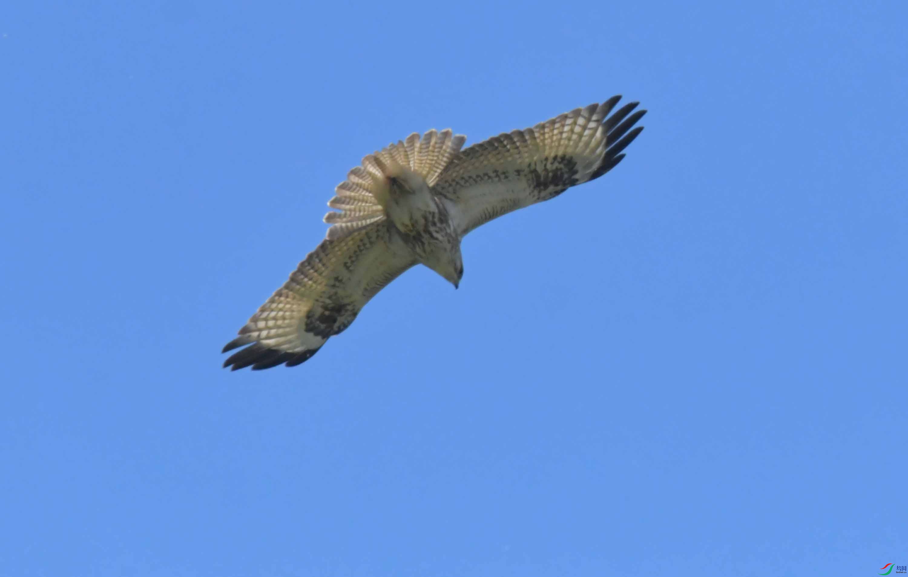 DSC_9816.JPG