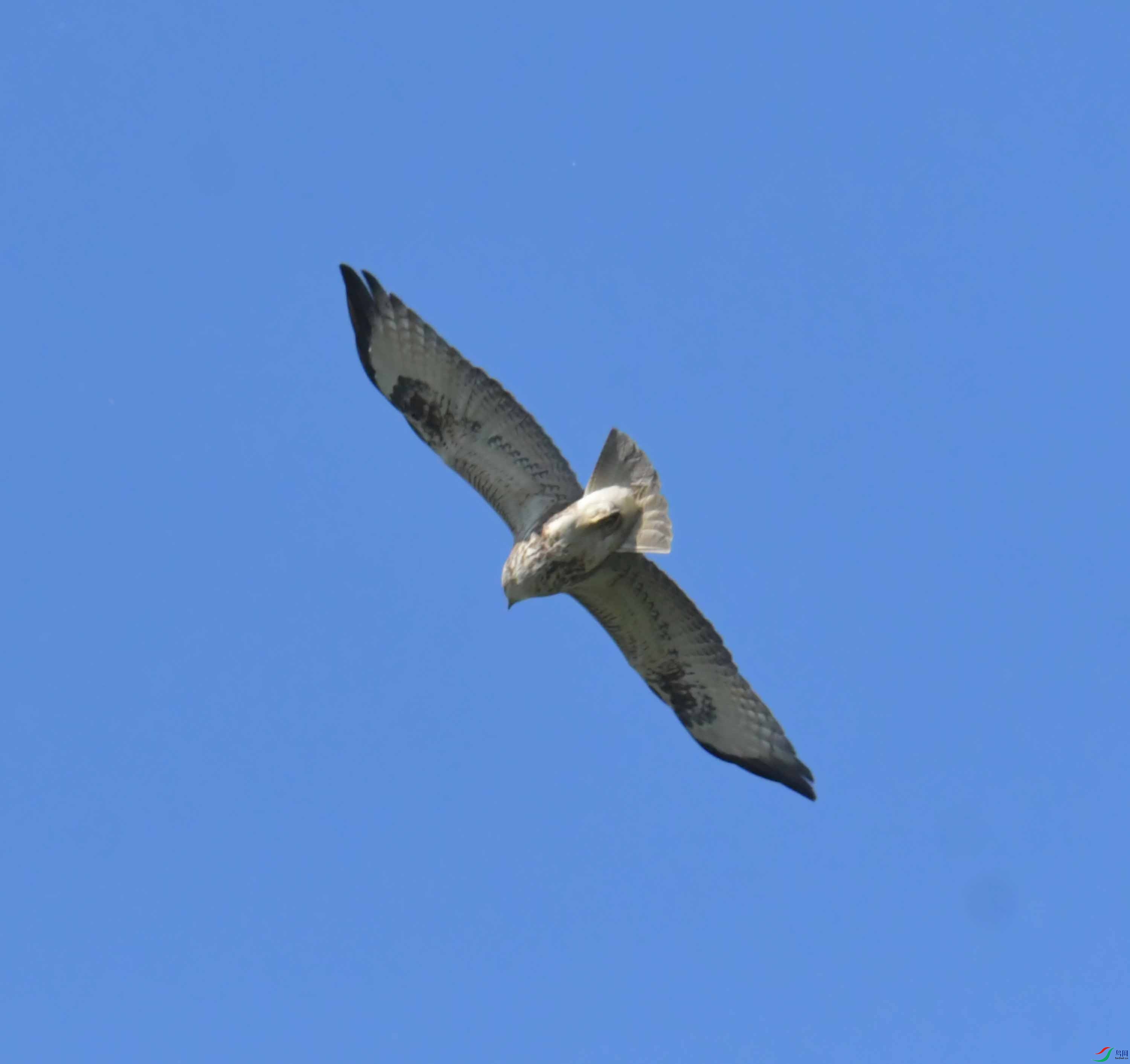 DSC_9828.JPG