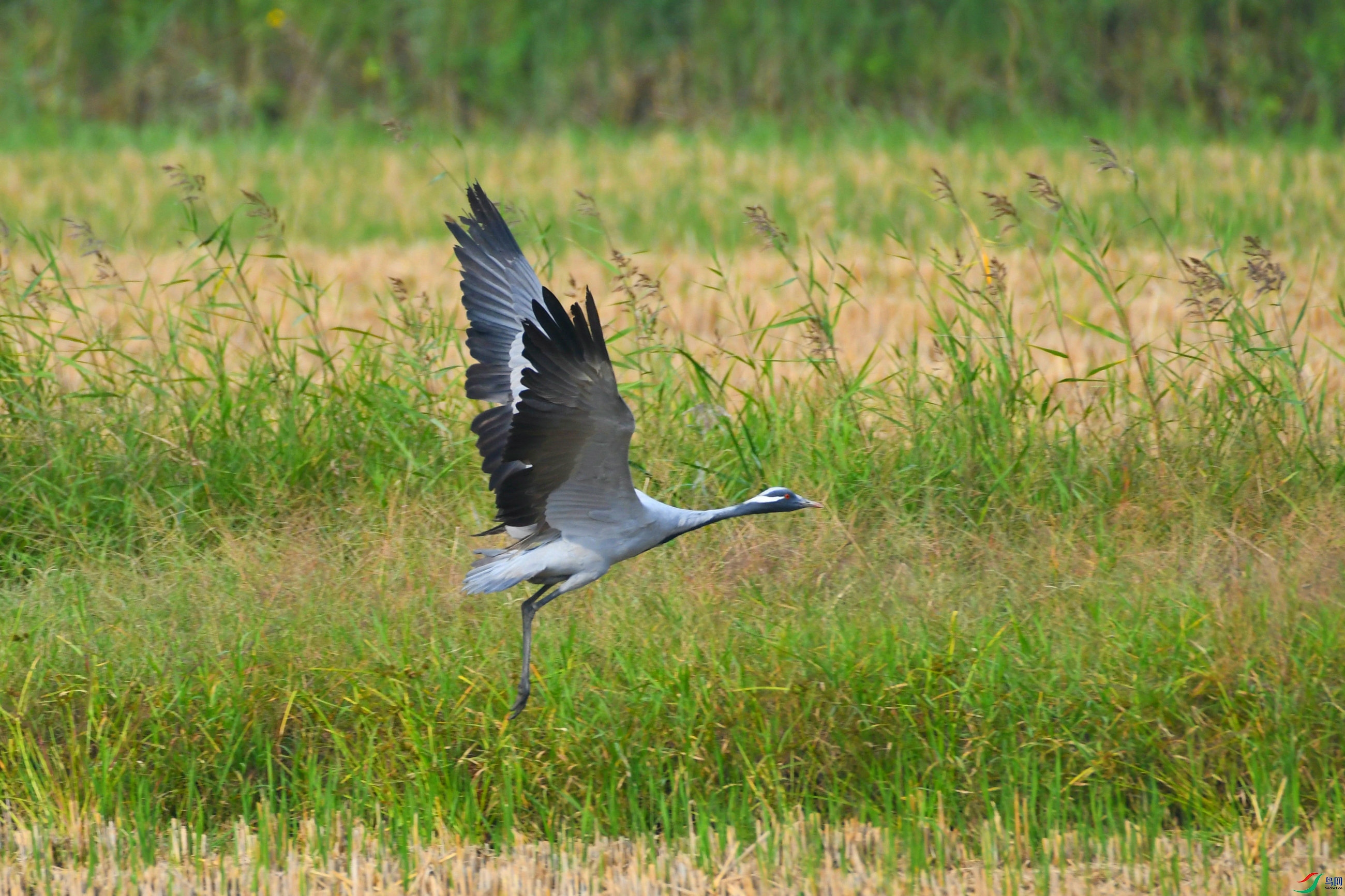DSC_4058.JPG