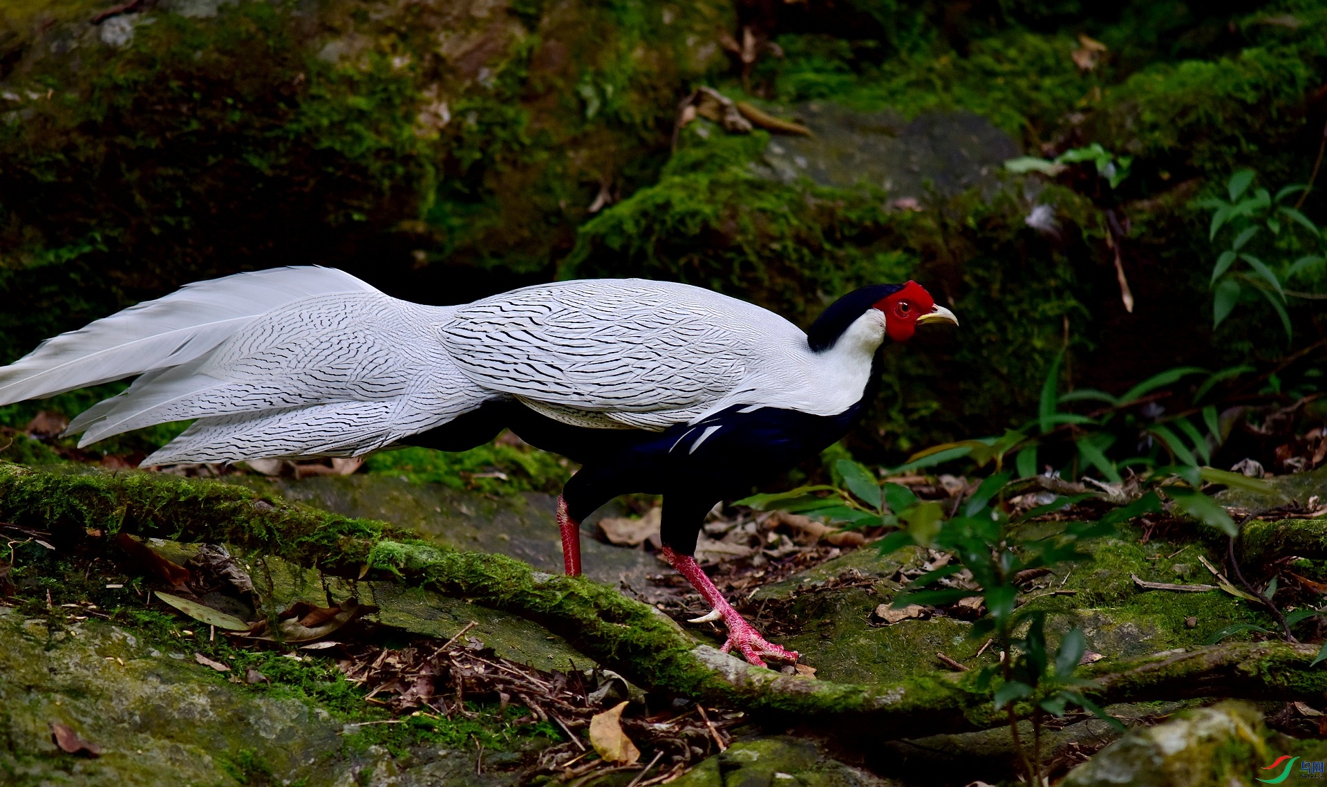 D8I_6880.jpg