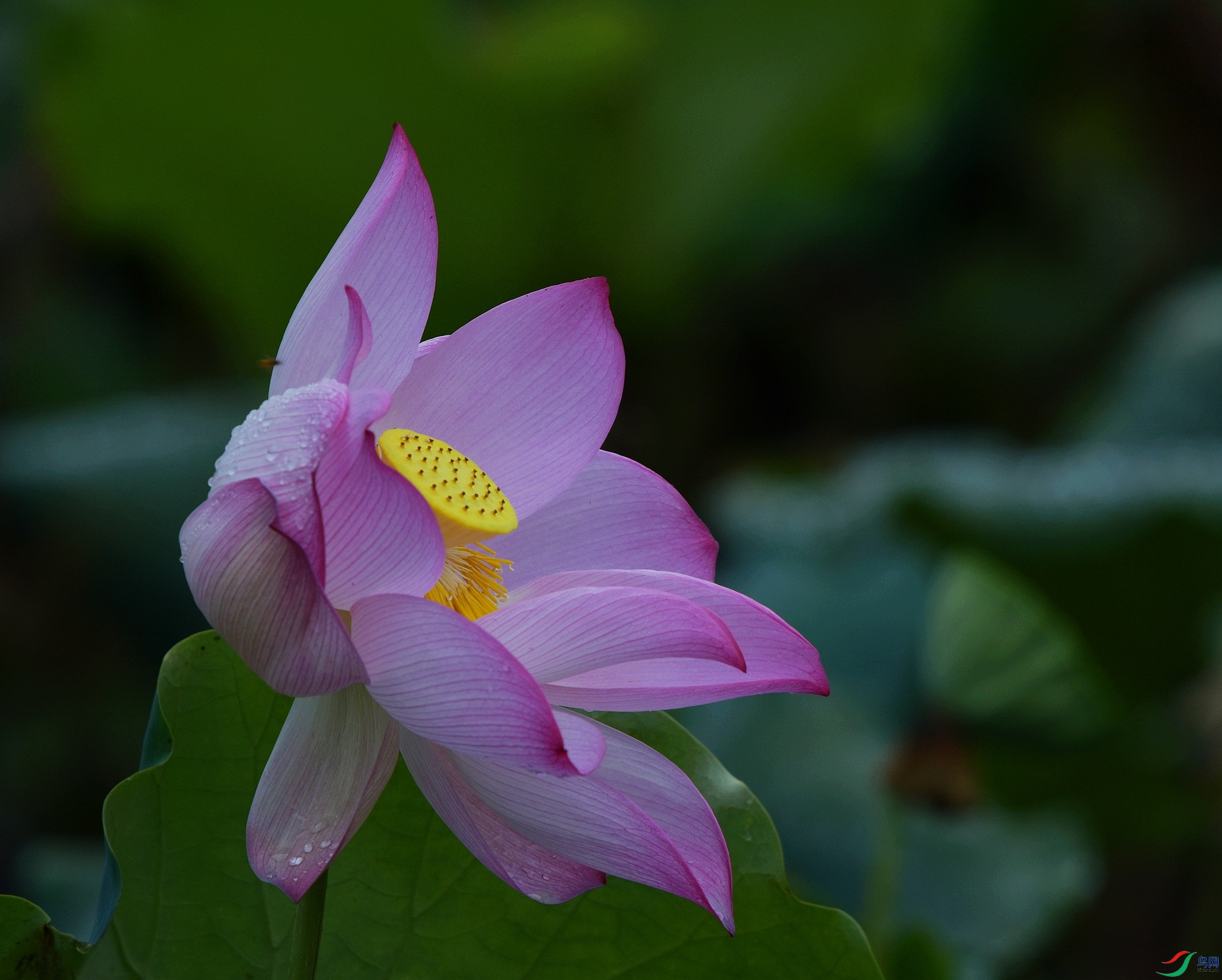 D72_2557.jpg