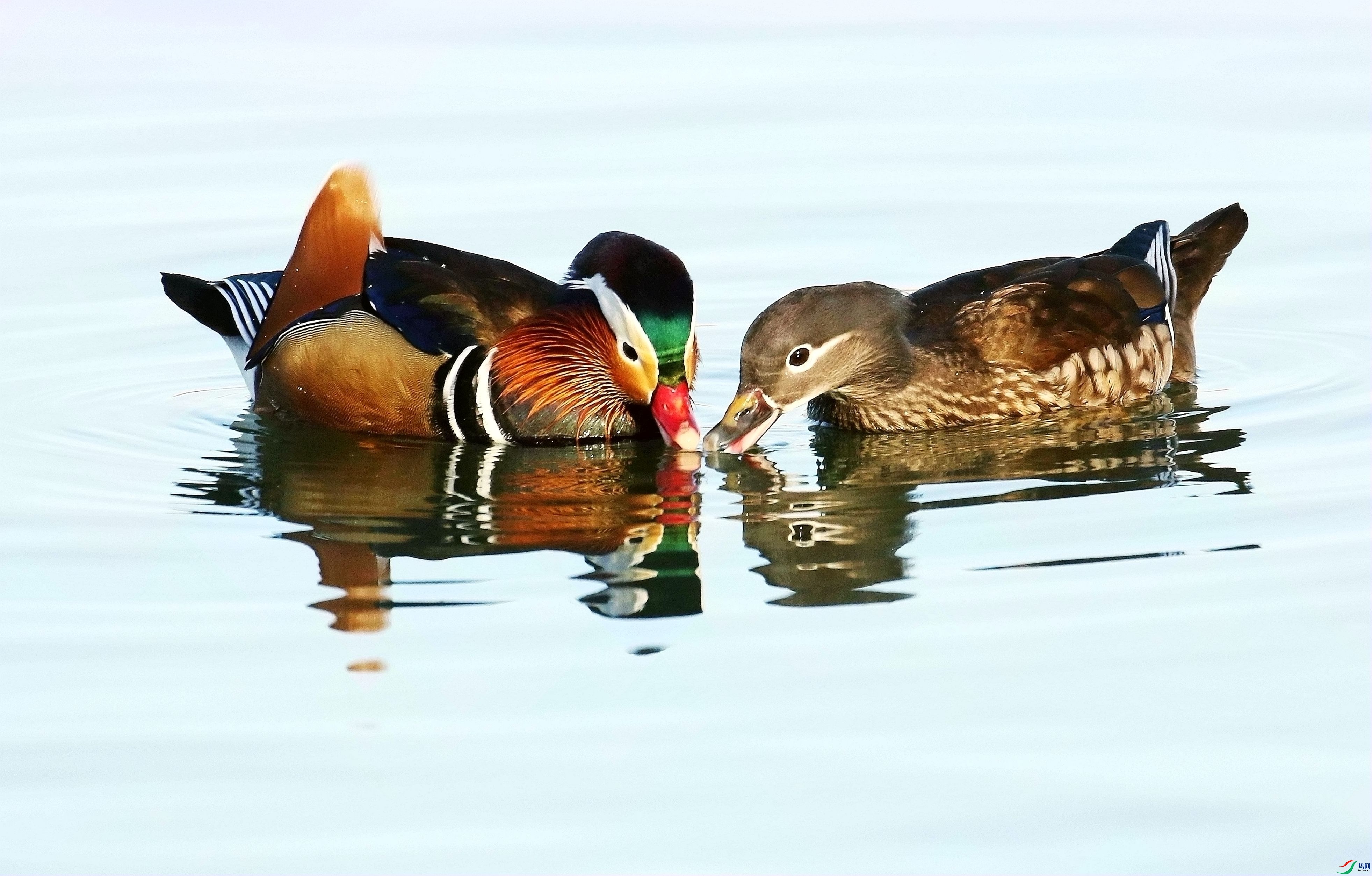 ������ʳ1U4A3168_����.jpg