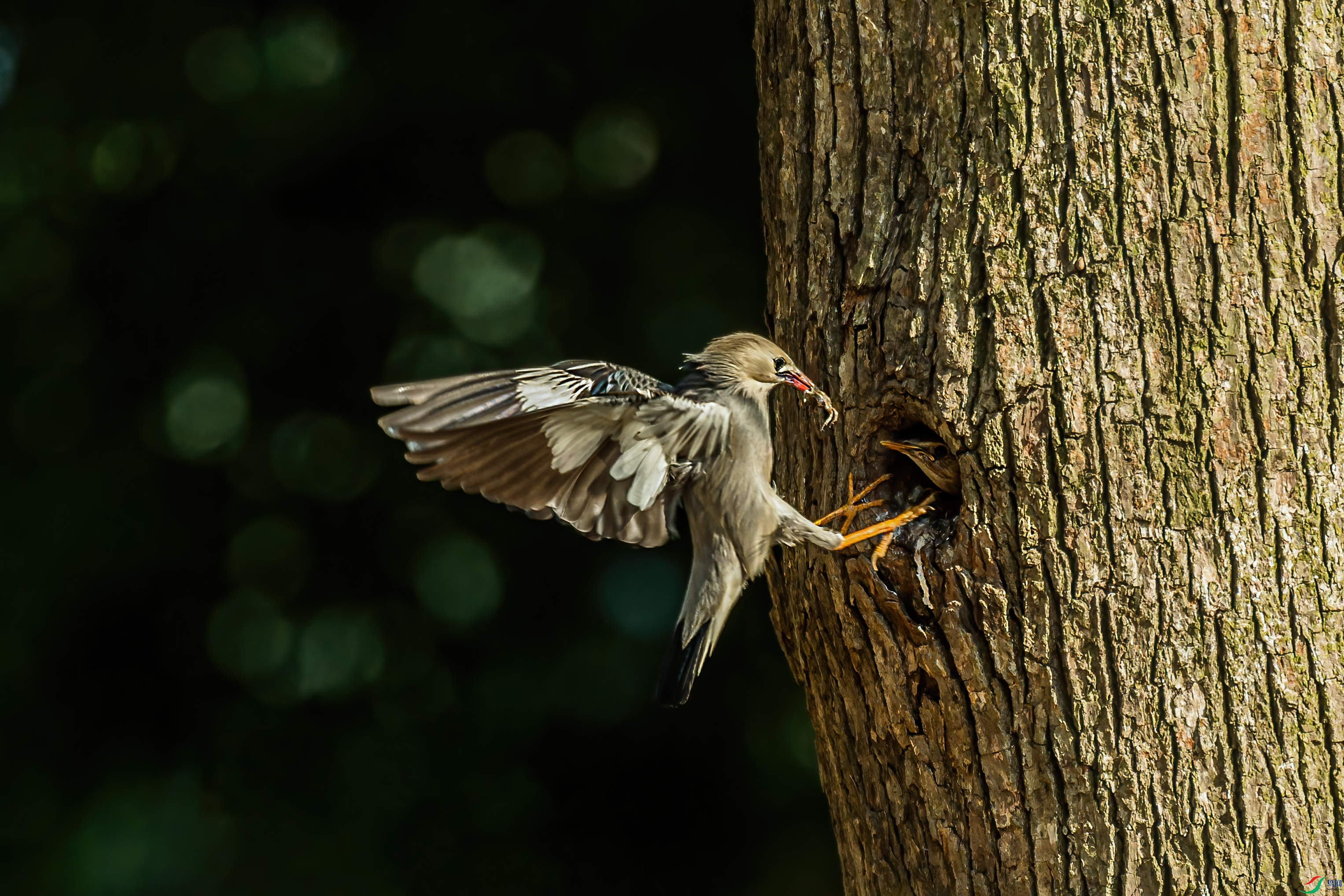 _DSC9898���� ����1.jpg