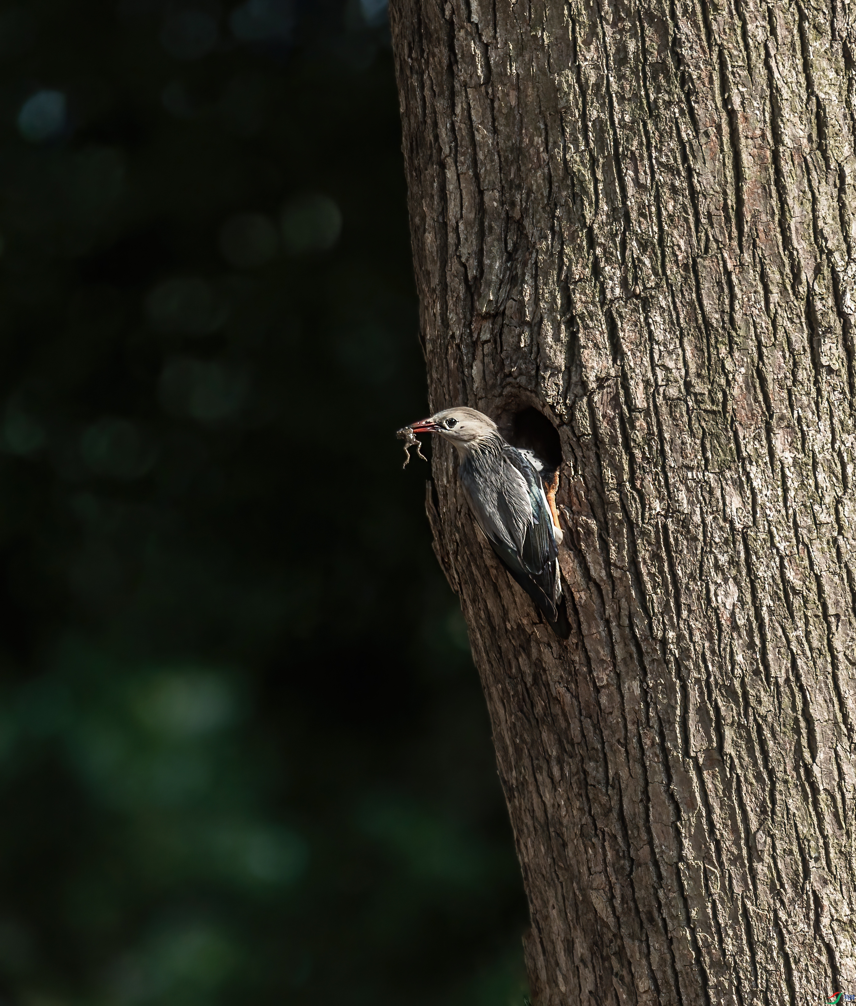 _DSC9885���� ����1.jpg