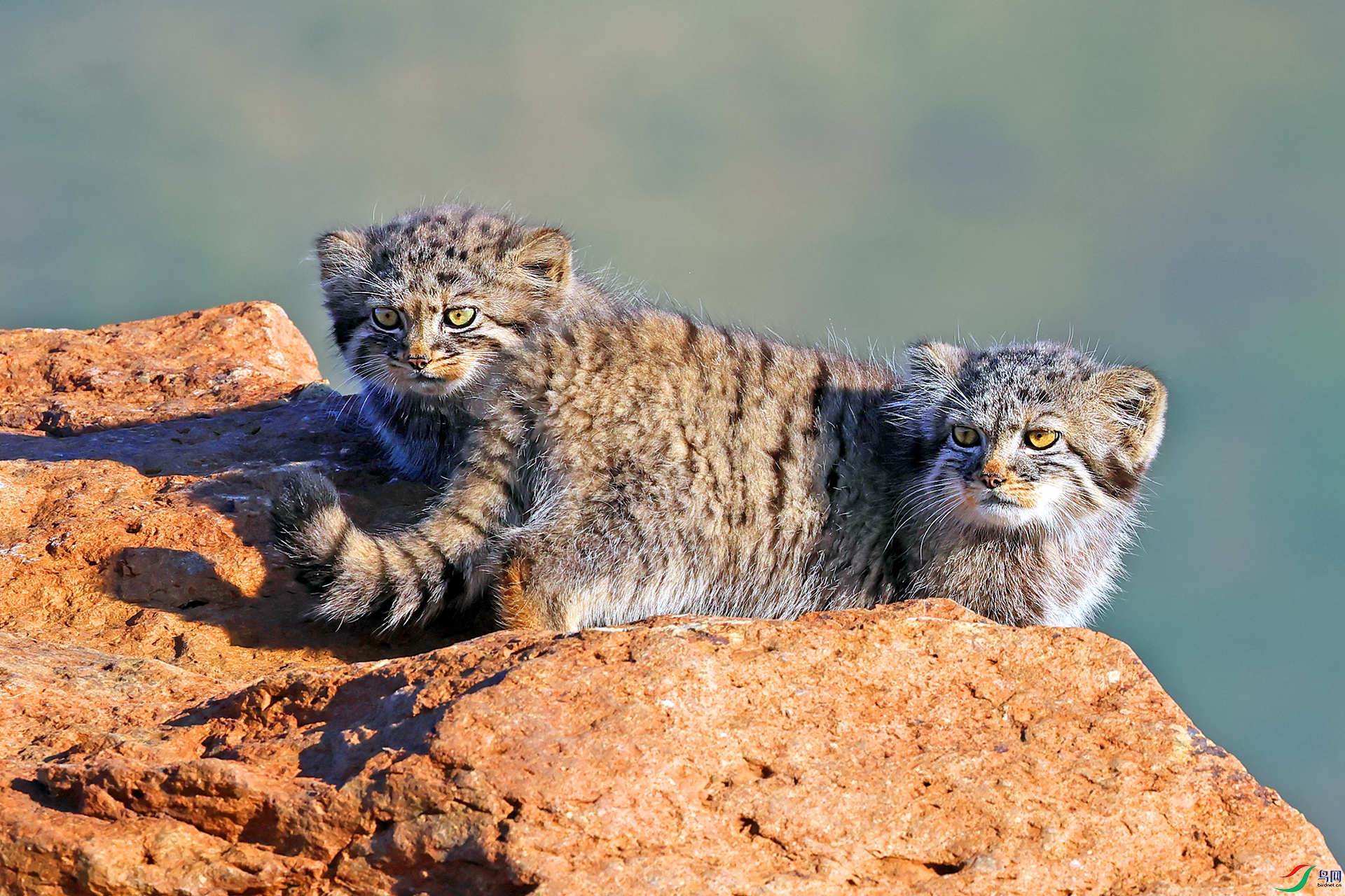 ����0990 ����.jpg