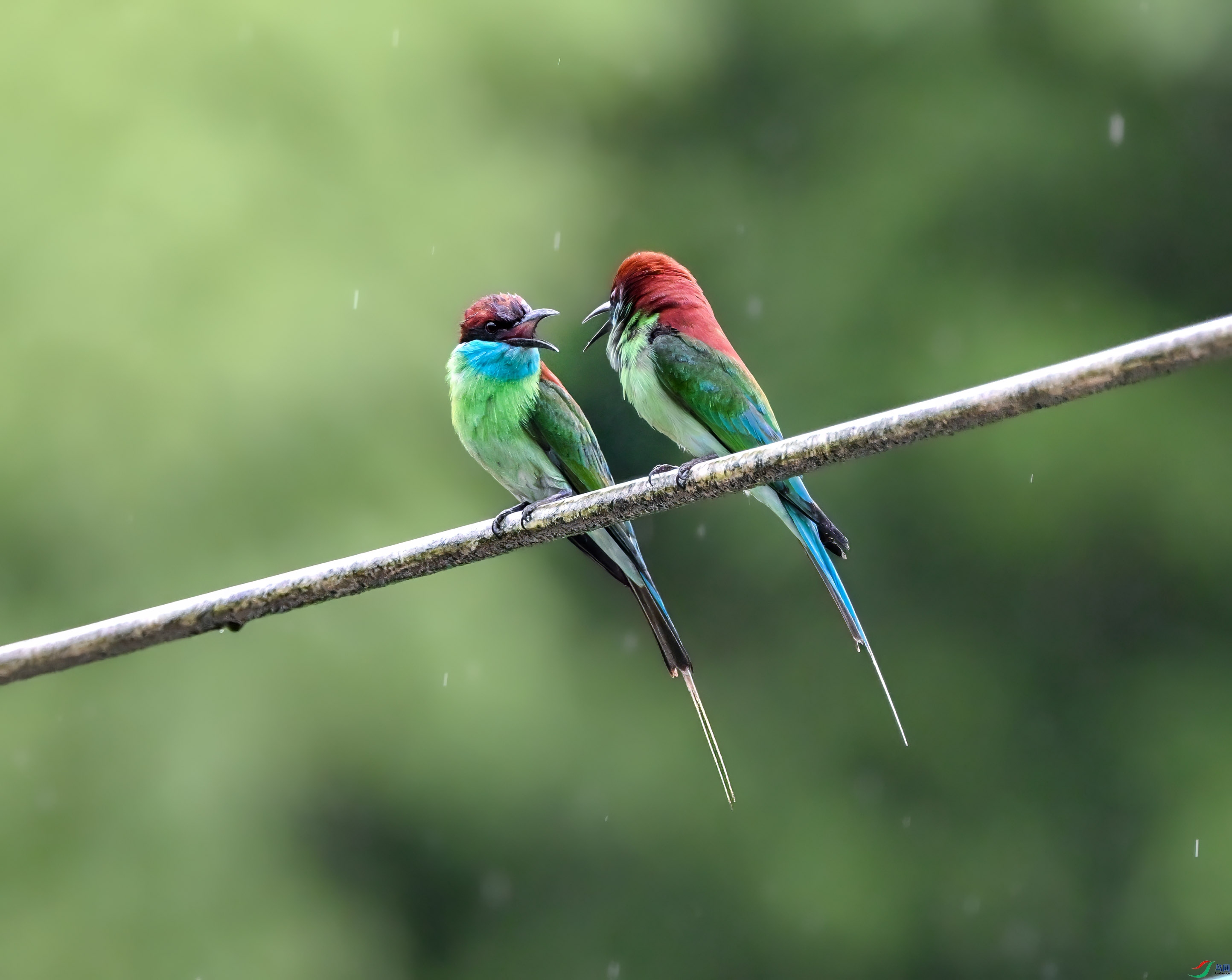 DSC_2893_����1.jpg