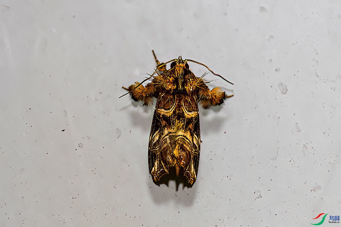 P6171631-����.jpg