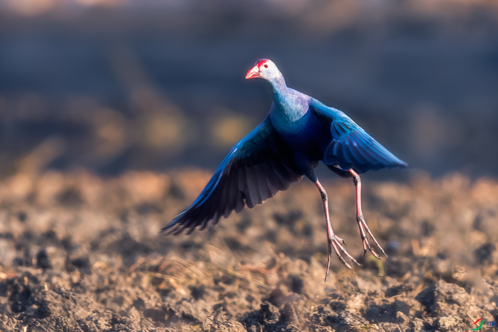 ��ˮ��----ʪ����