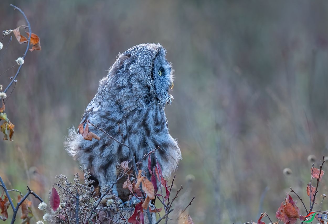 AC3I7577 ����_����.jpg