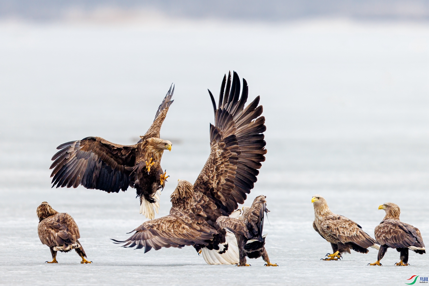 274A8479 ����_����.jpg