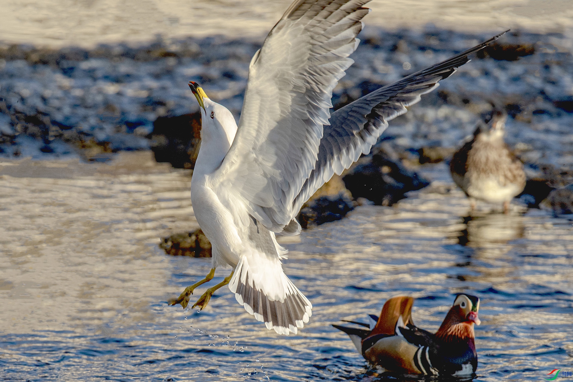 _90I9036 ���� 3.jpg