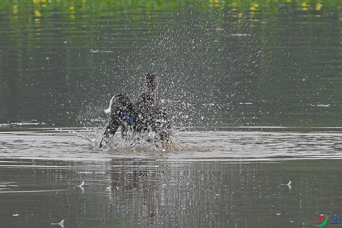 DSCN1027.jpg