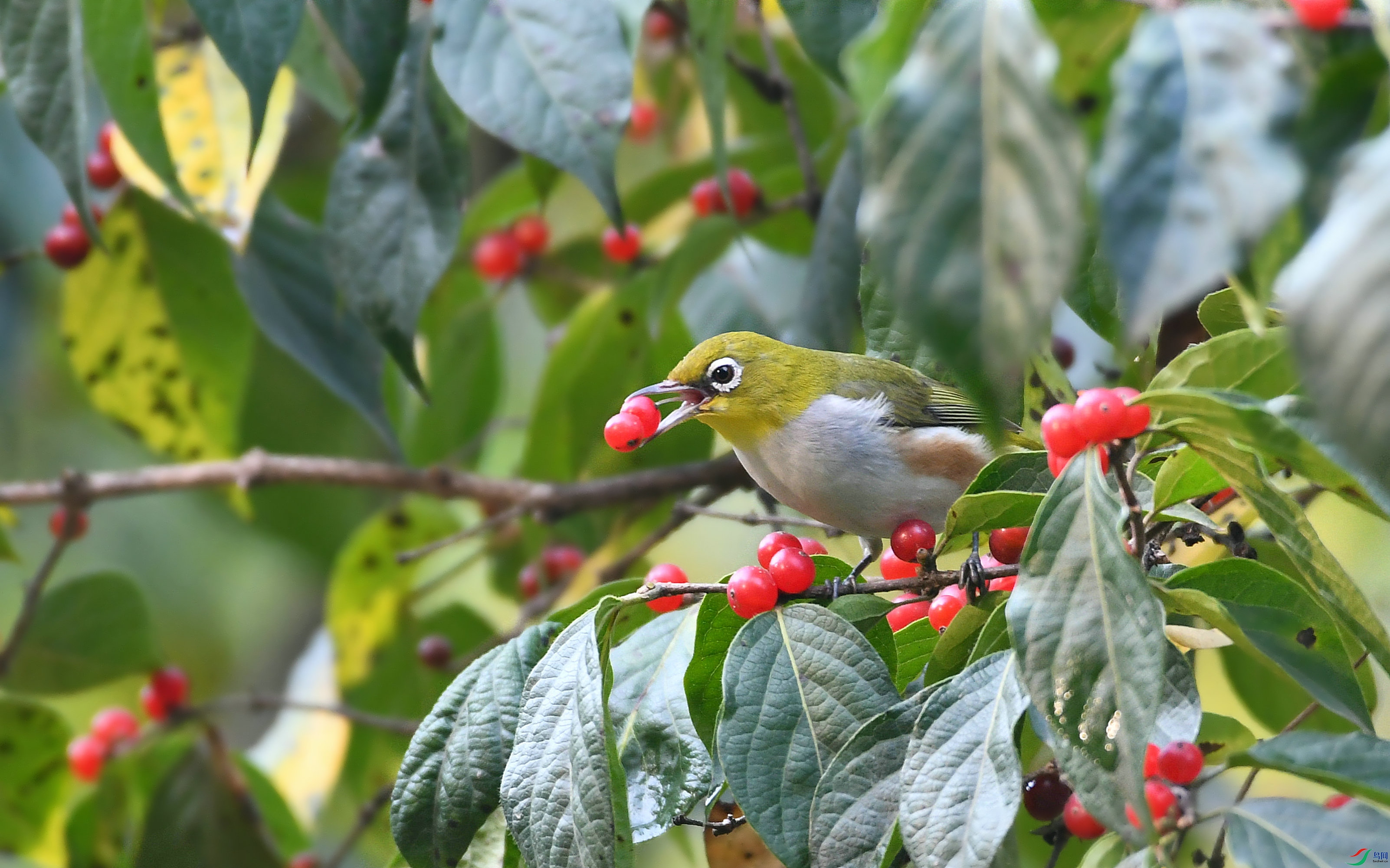 DSC_4544.JPG