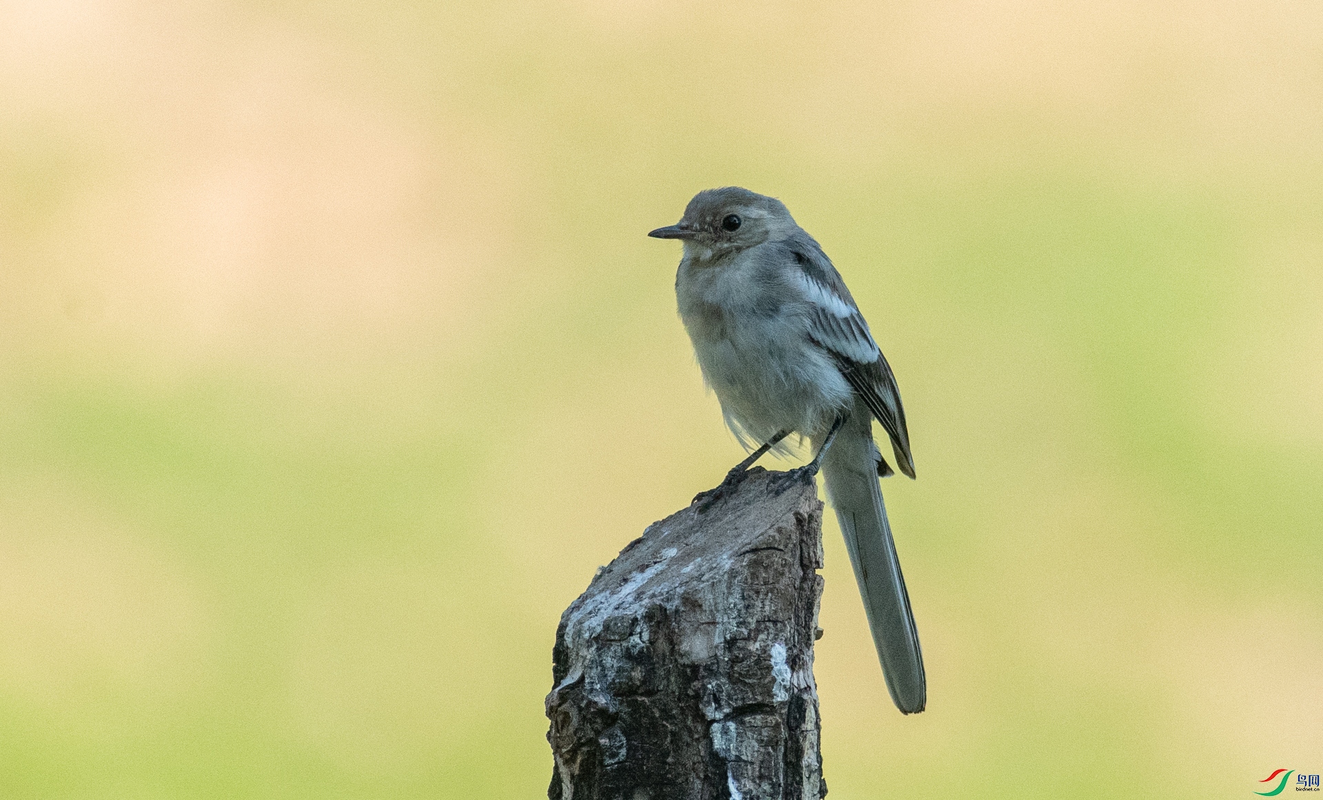 DSC_1103.jpg