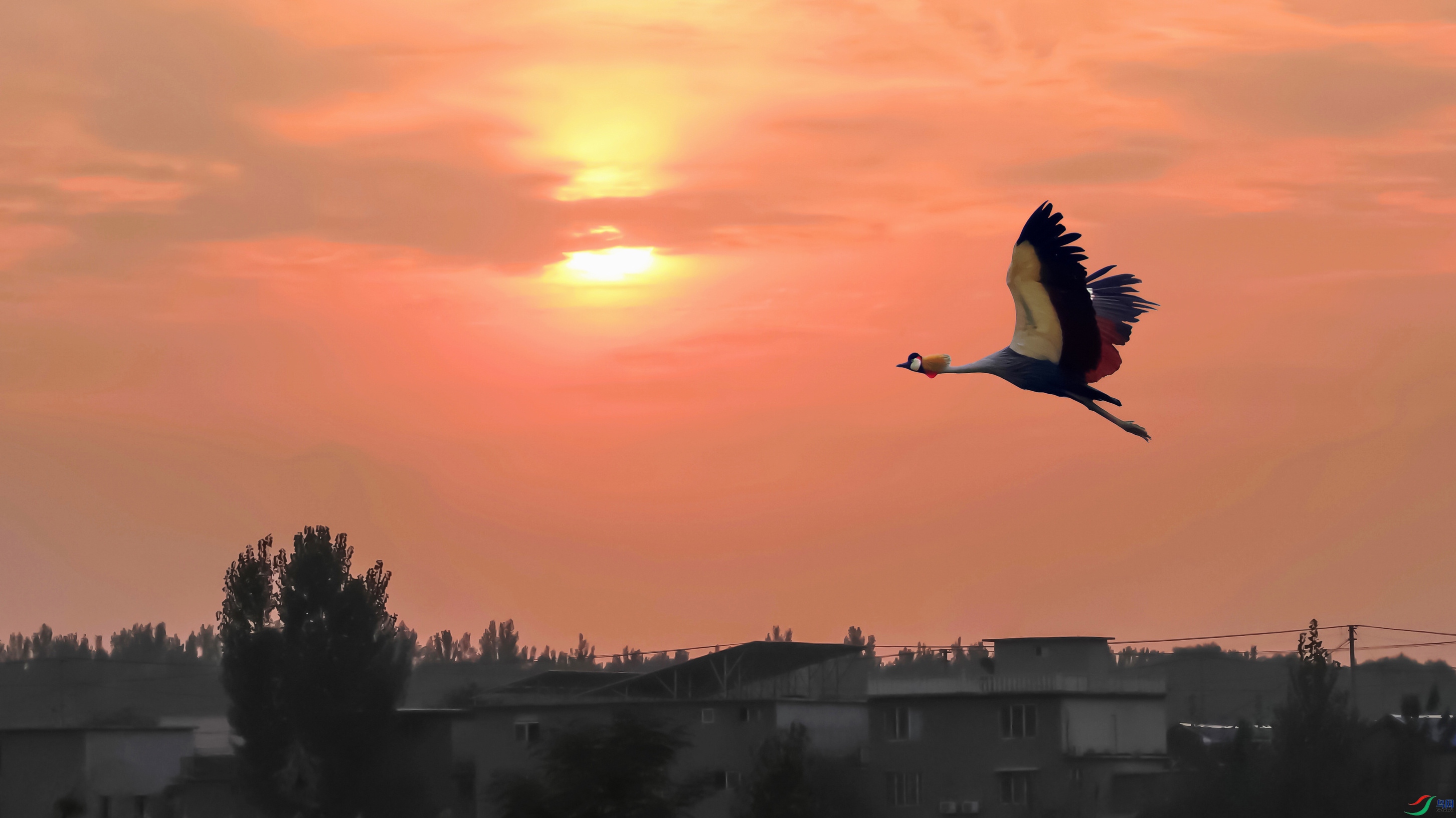 193A3858 ����.jpg