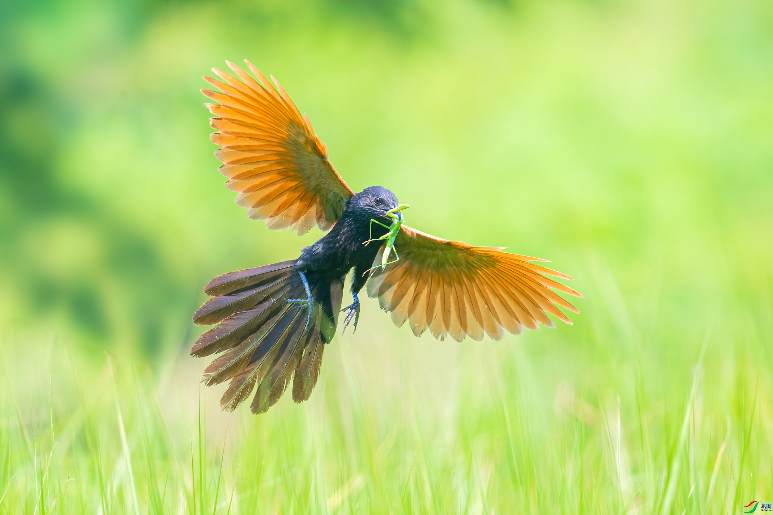 20231001��С�ž�����Ƥ���� ��ҳ����.jpg