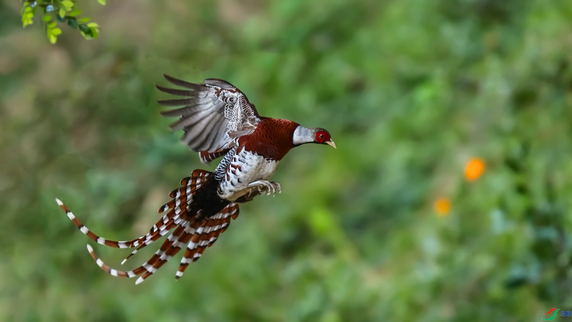 20231002���׾���β���������� ��ҳ����.jpg