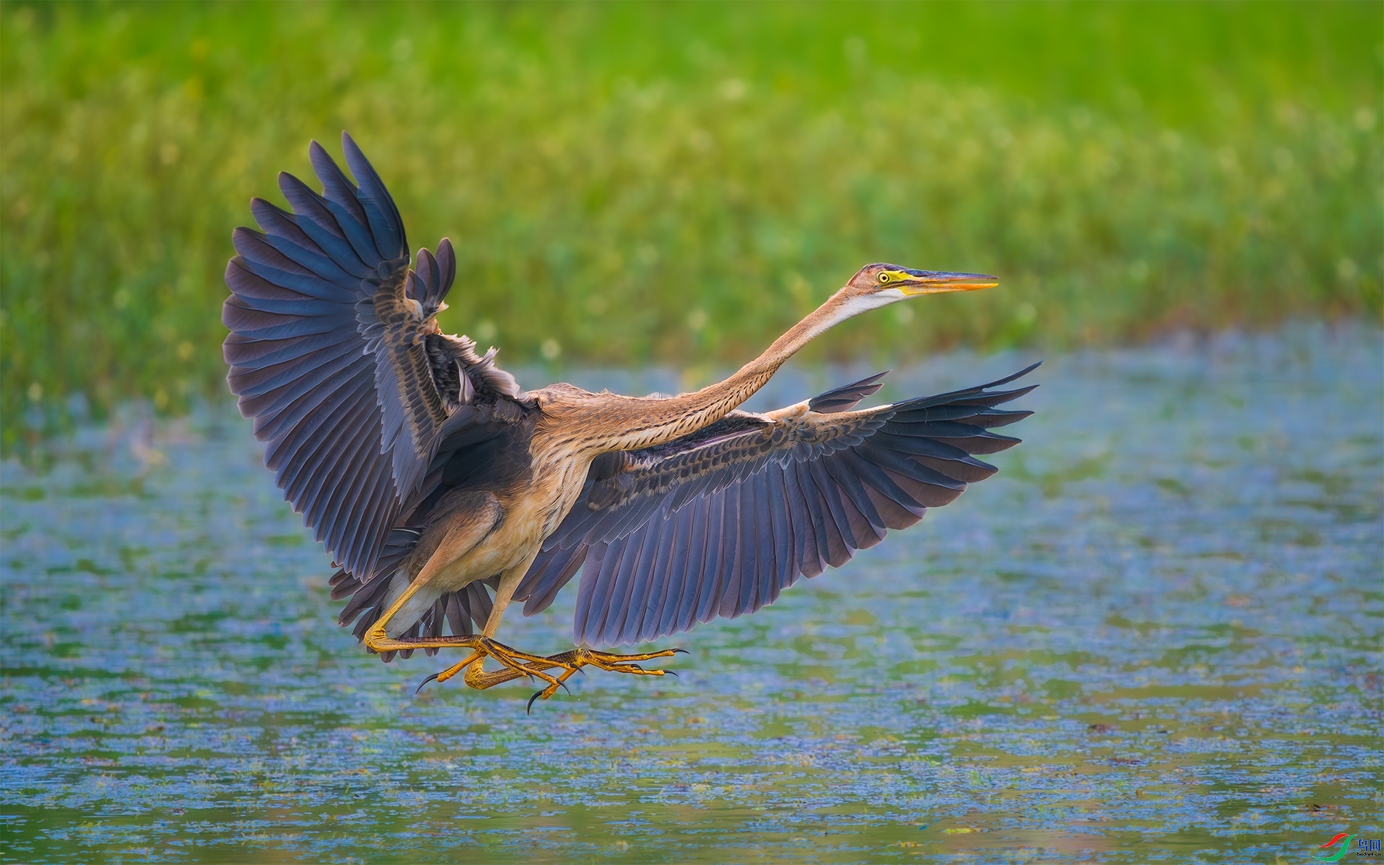 20231004�����ơ�����һ�� ��ҳ����.jpg