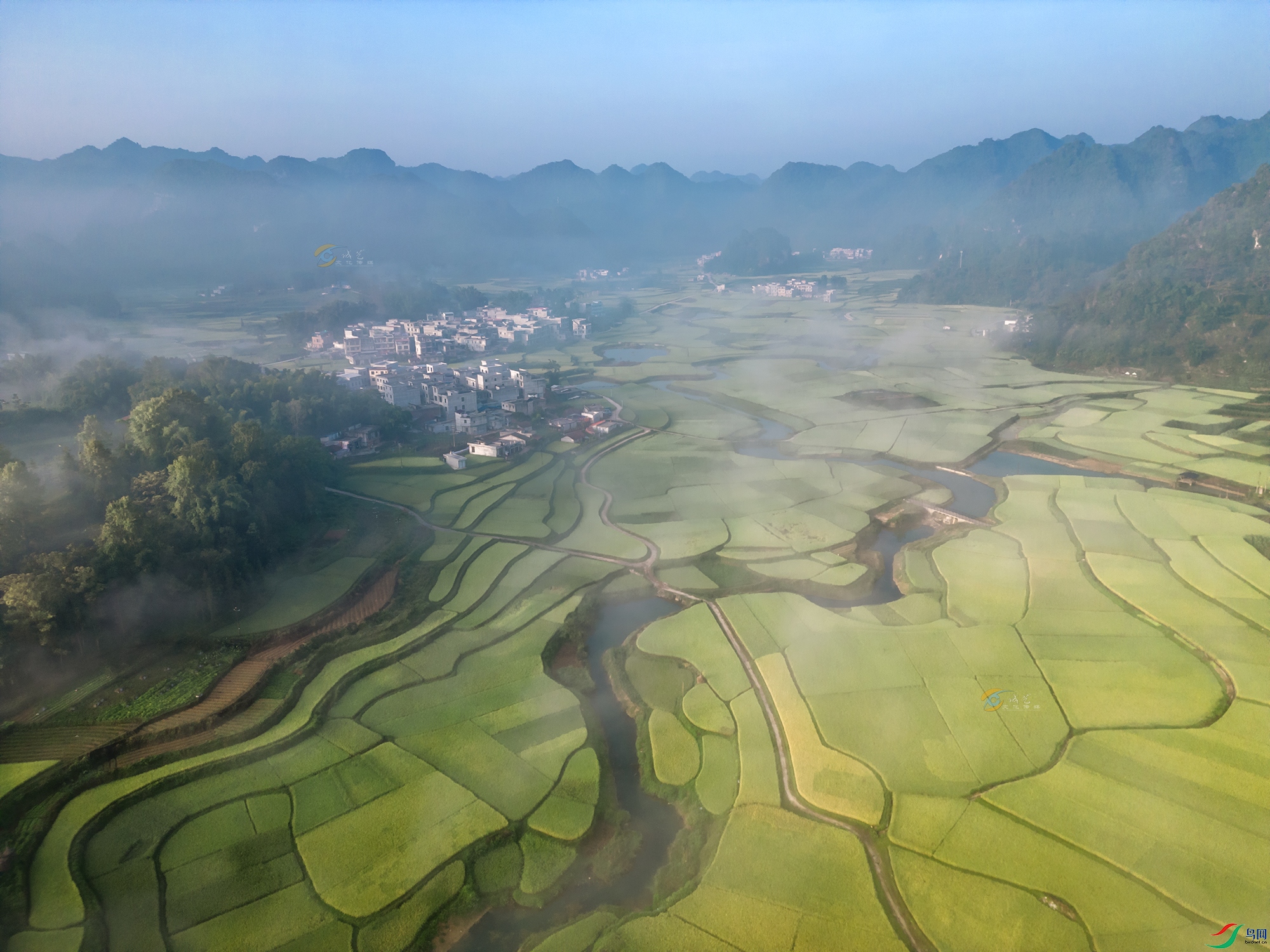 DJI_0122a11.jpg