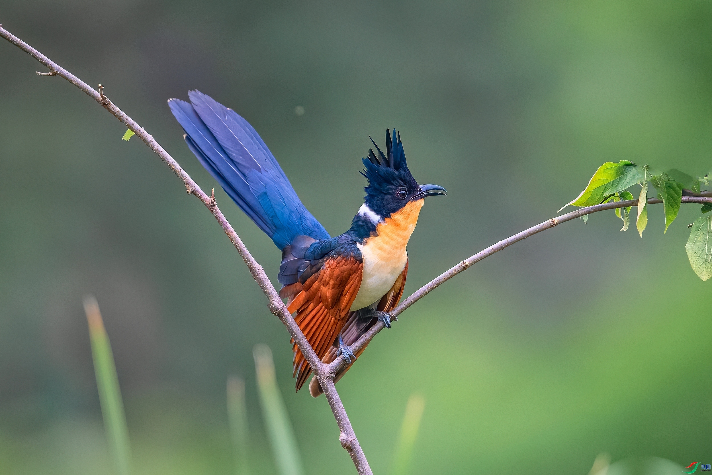 20231006���߰��ĺ�ᡷĻ������ ��ҳ����.jpg