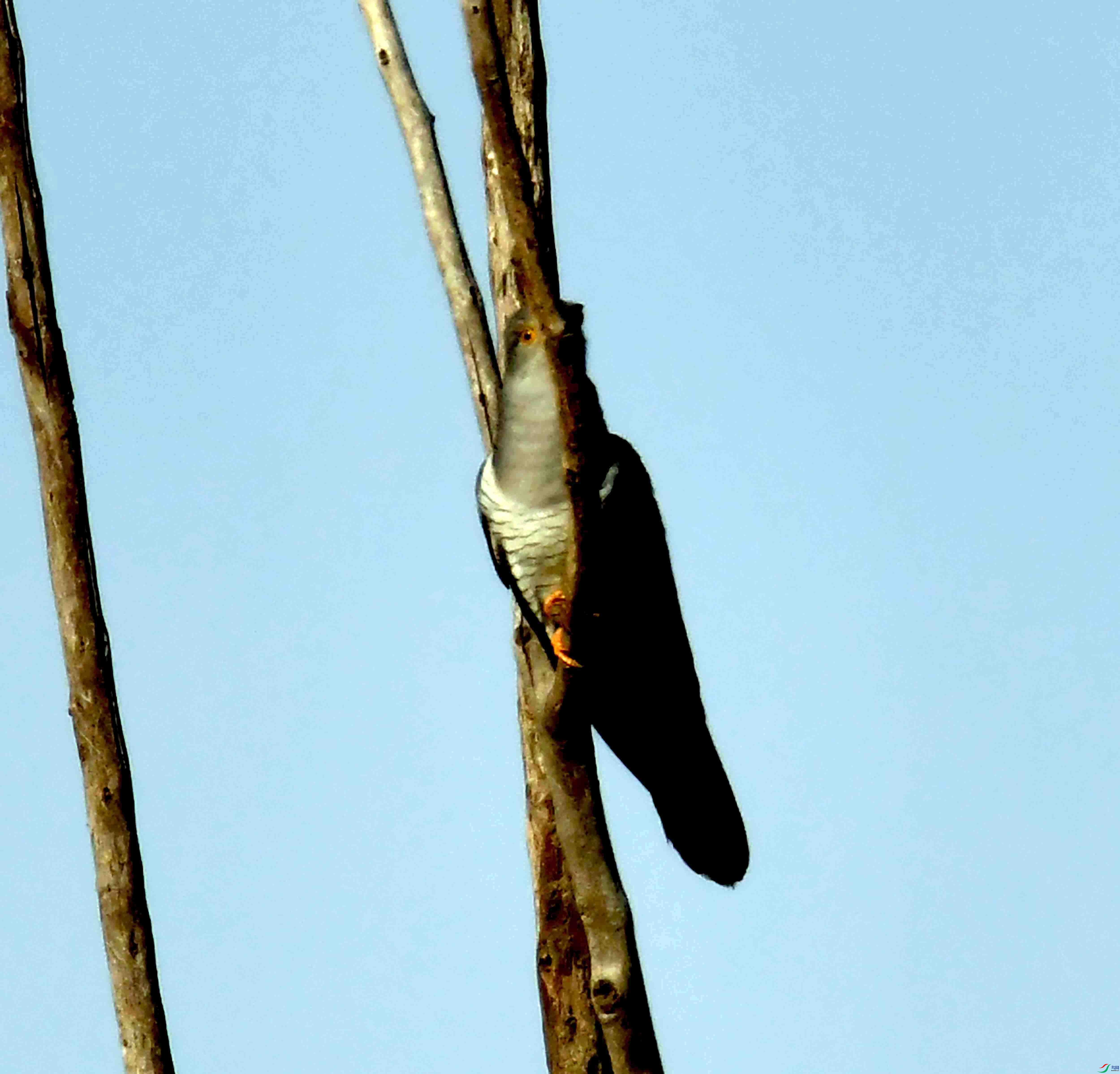 DSC_2514.JPG