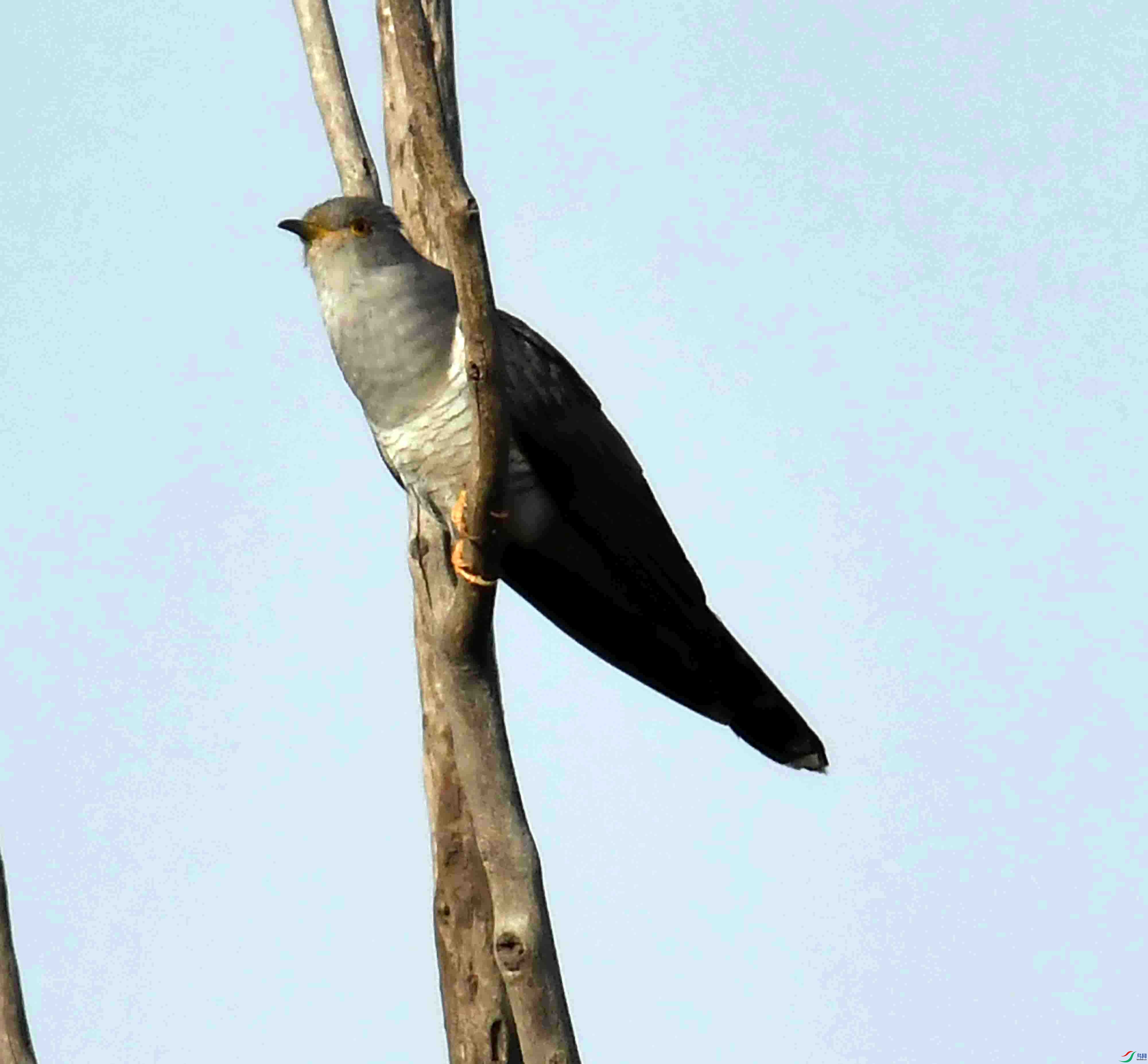 DSC_2521.JPG