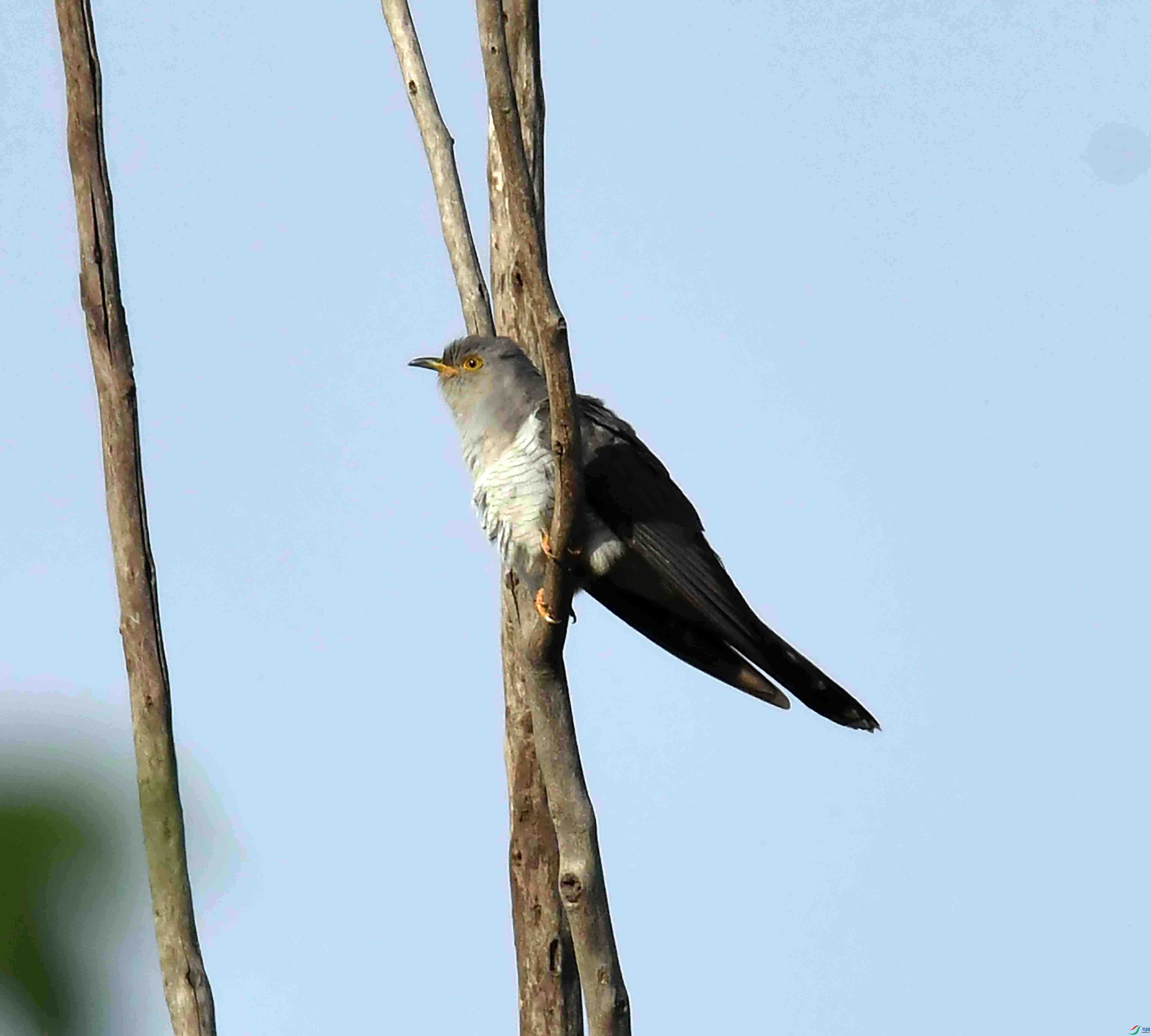 DSC_2537.JPG