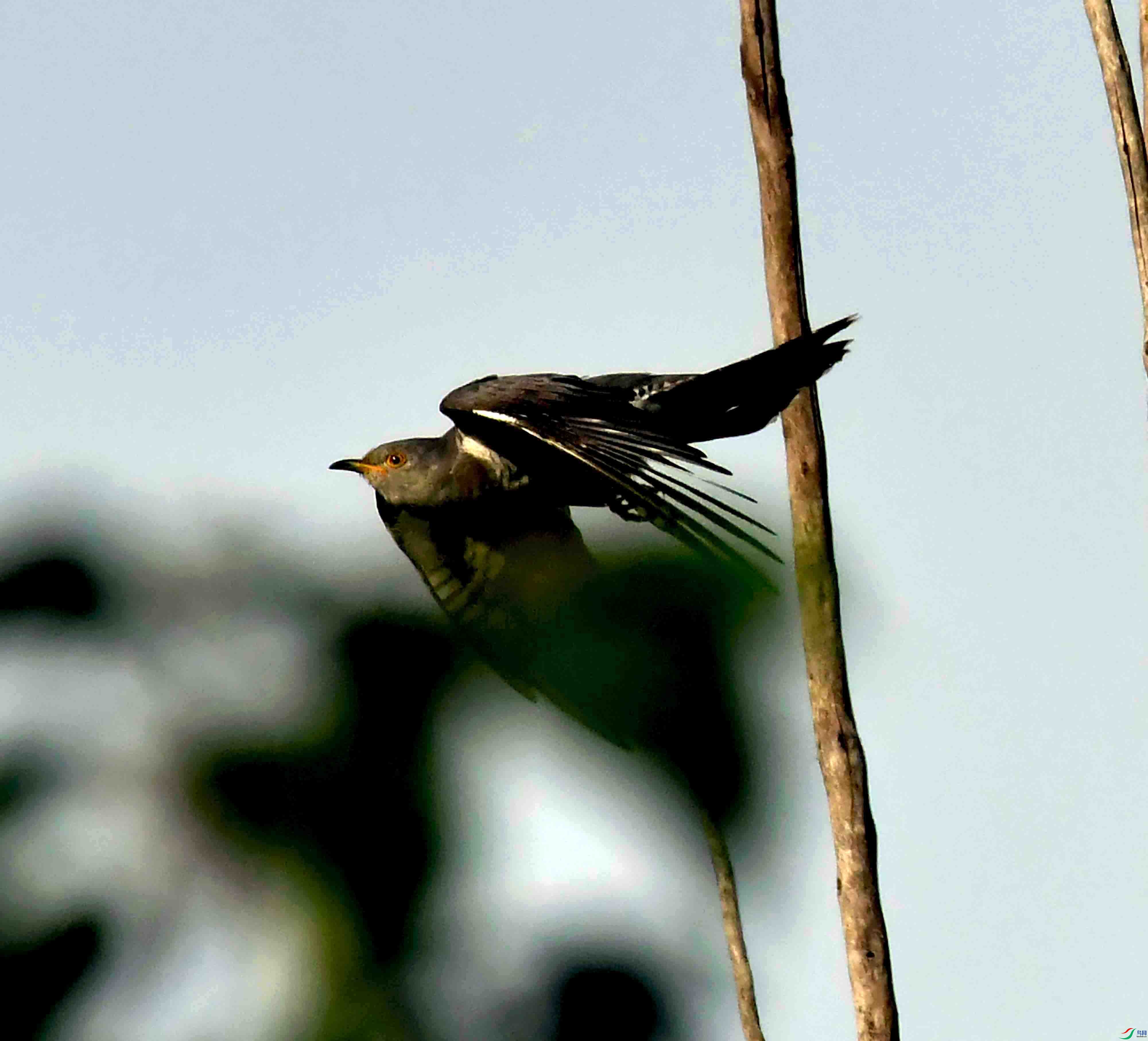 DSC_2541.JPG
