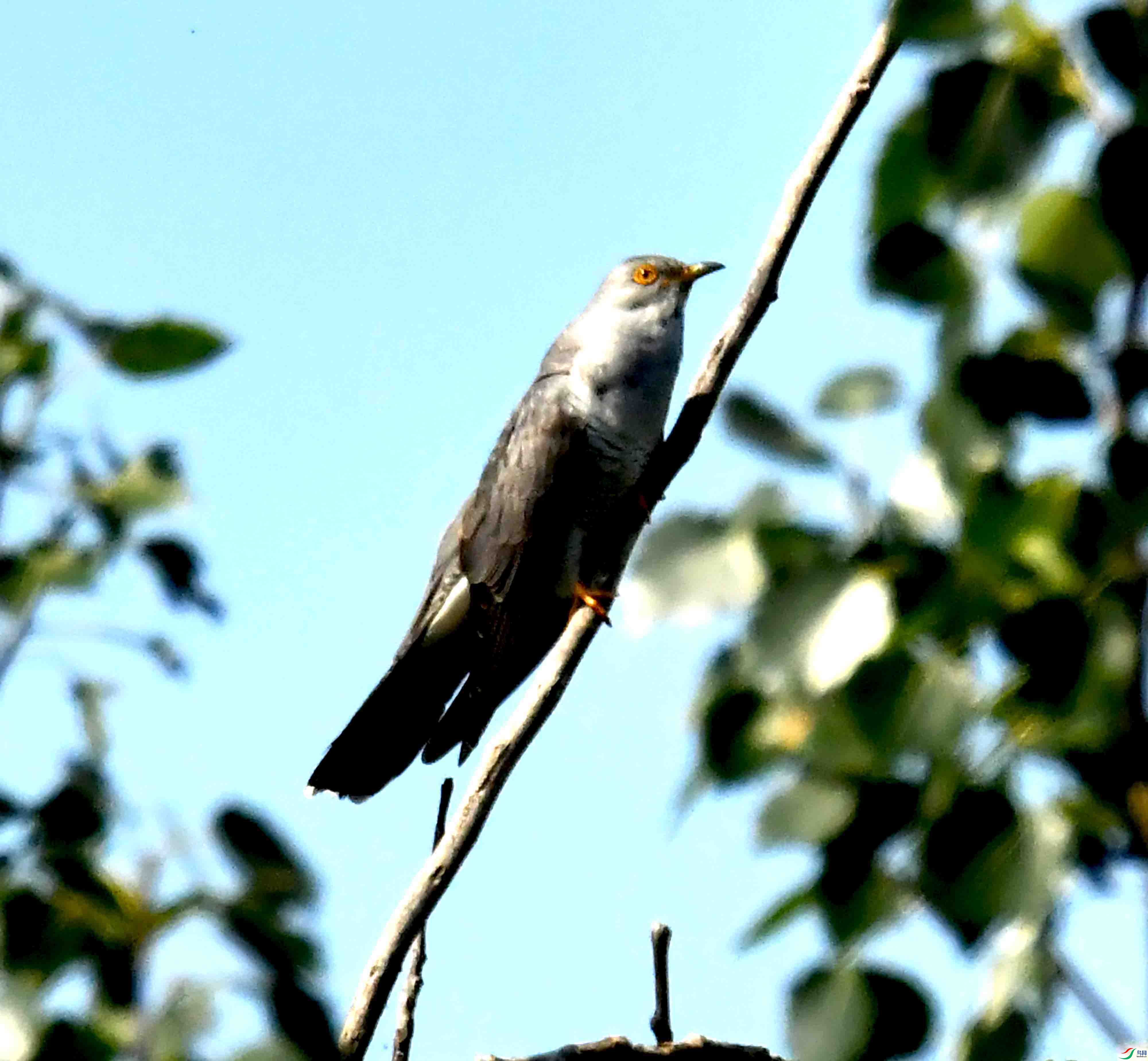 DSC_2633.JPG