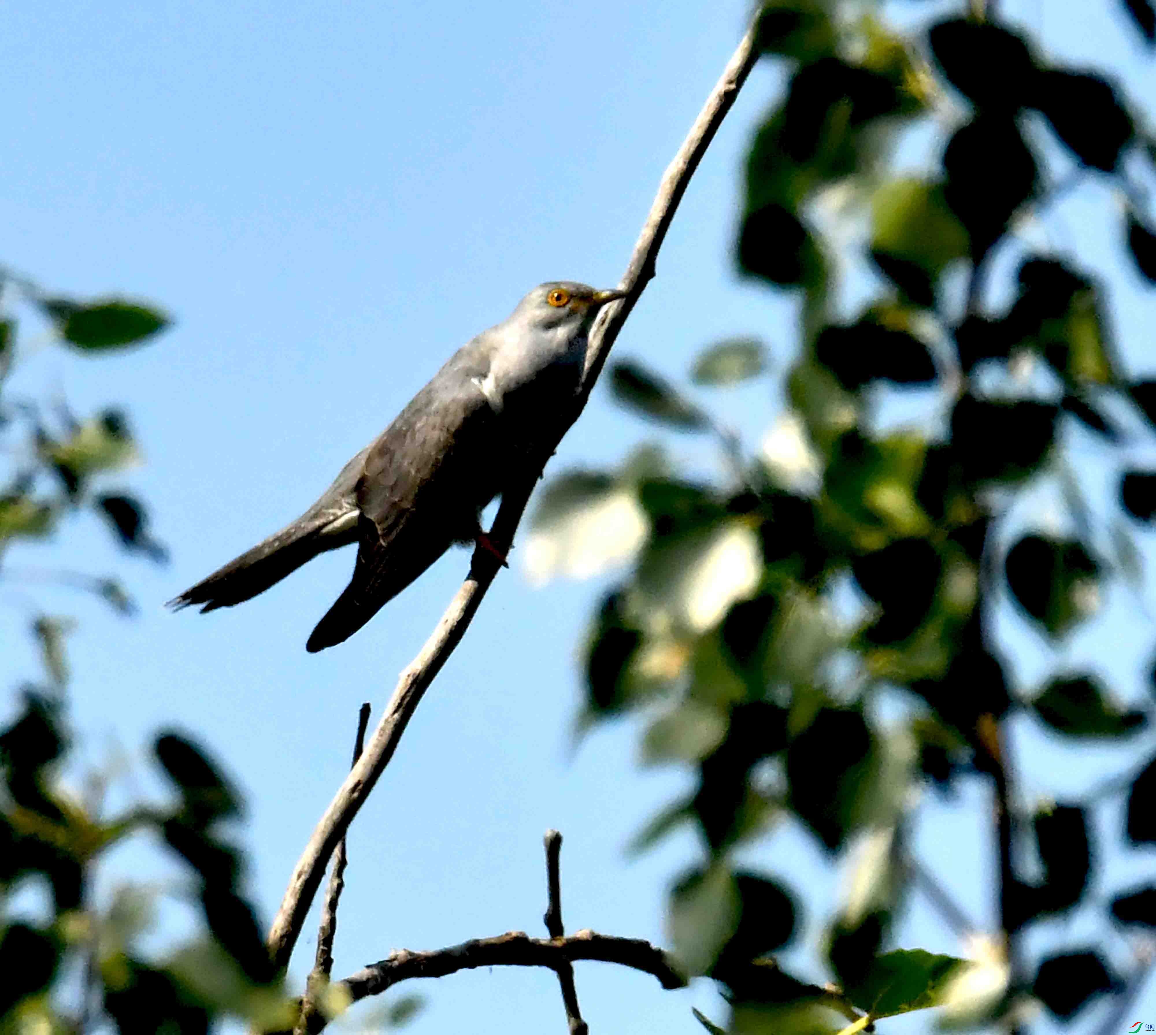 DSC_2639.JPG