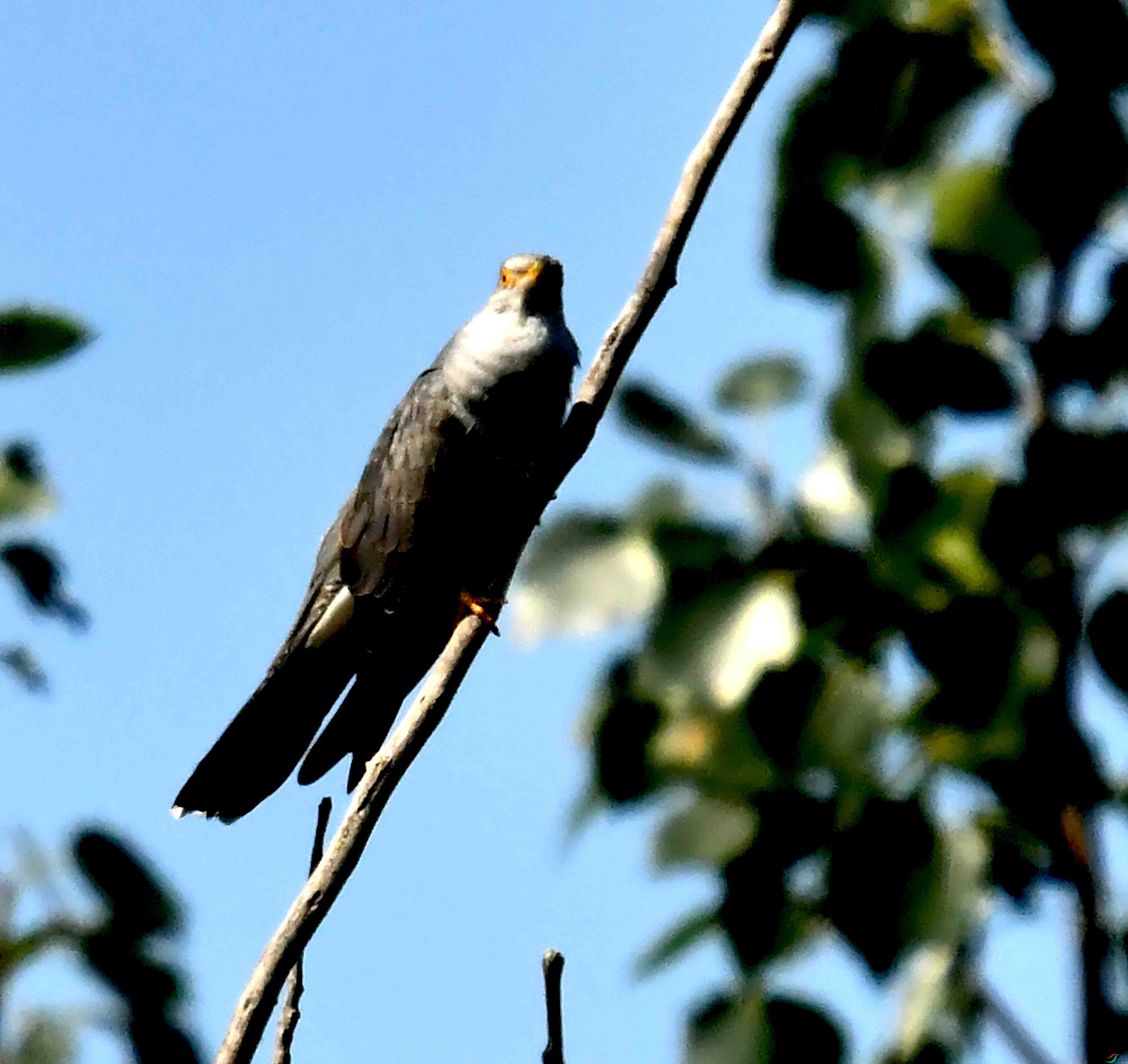 DSC_2638.JPG